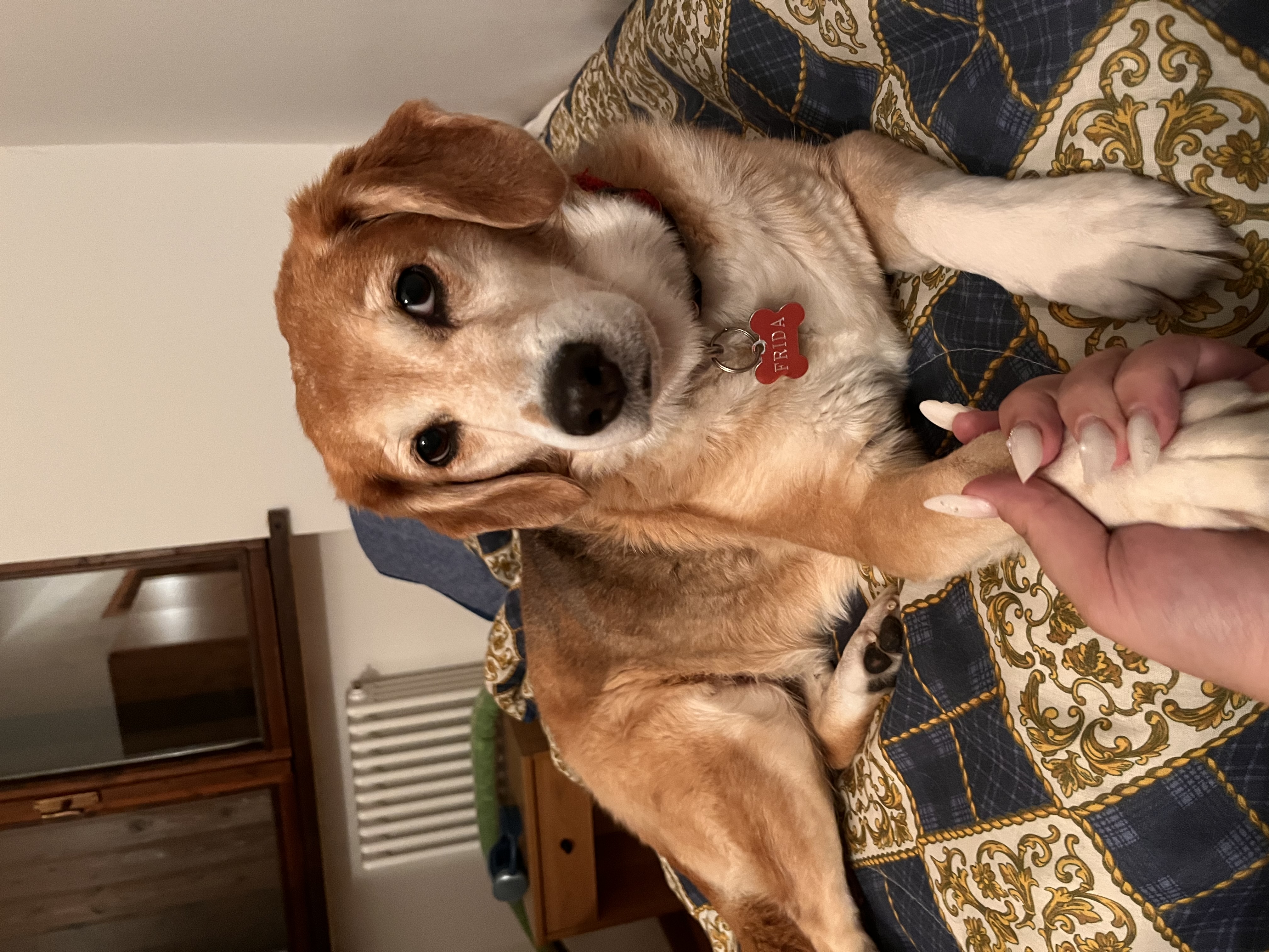 image-8