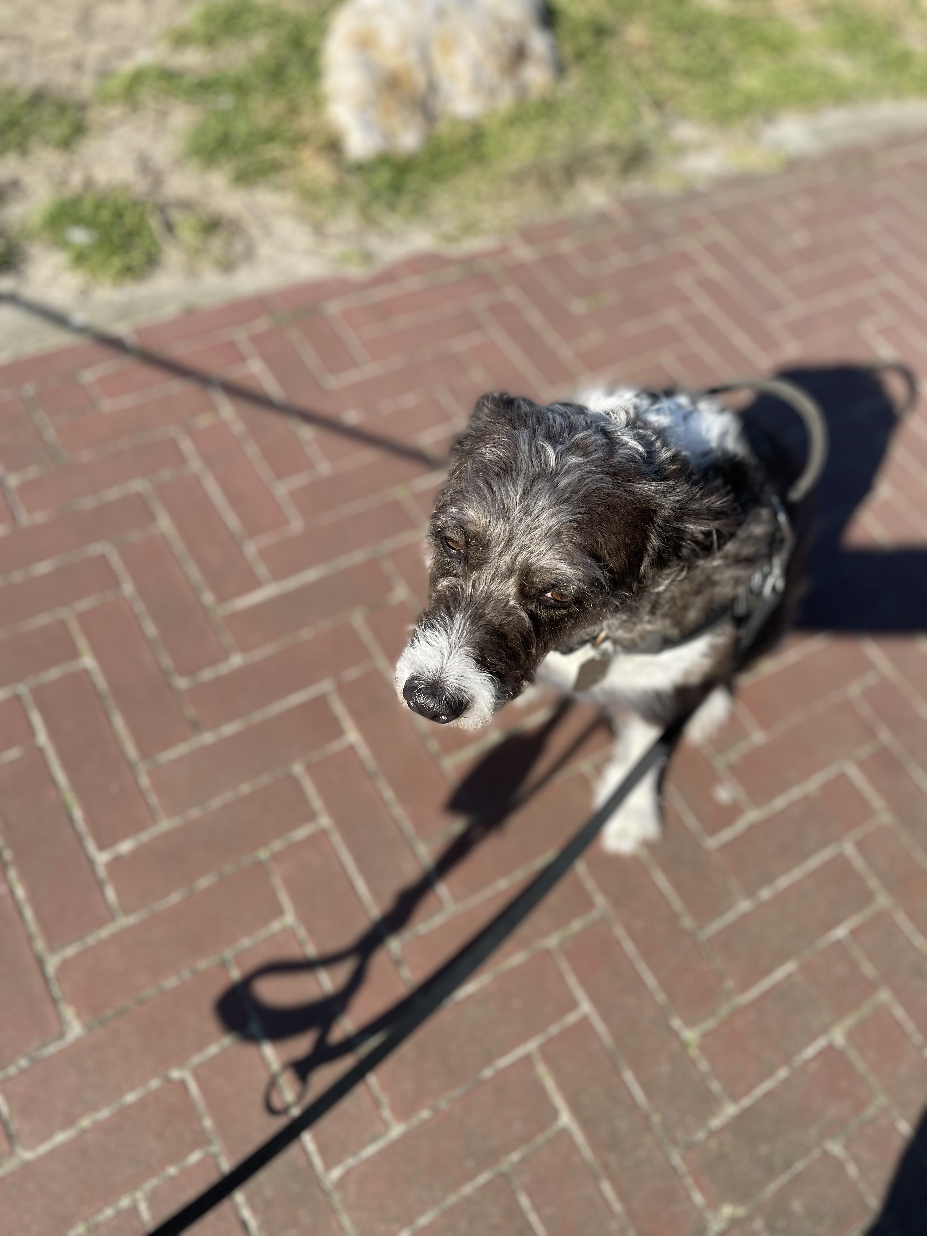 image-9