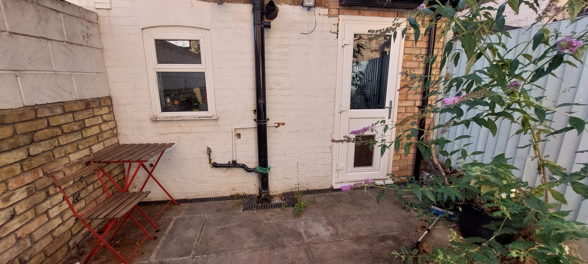 image-20