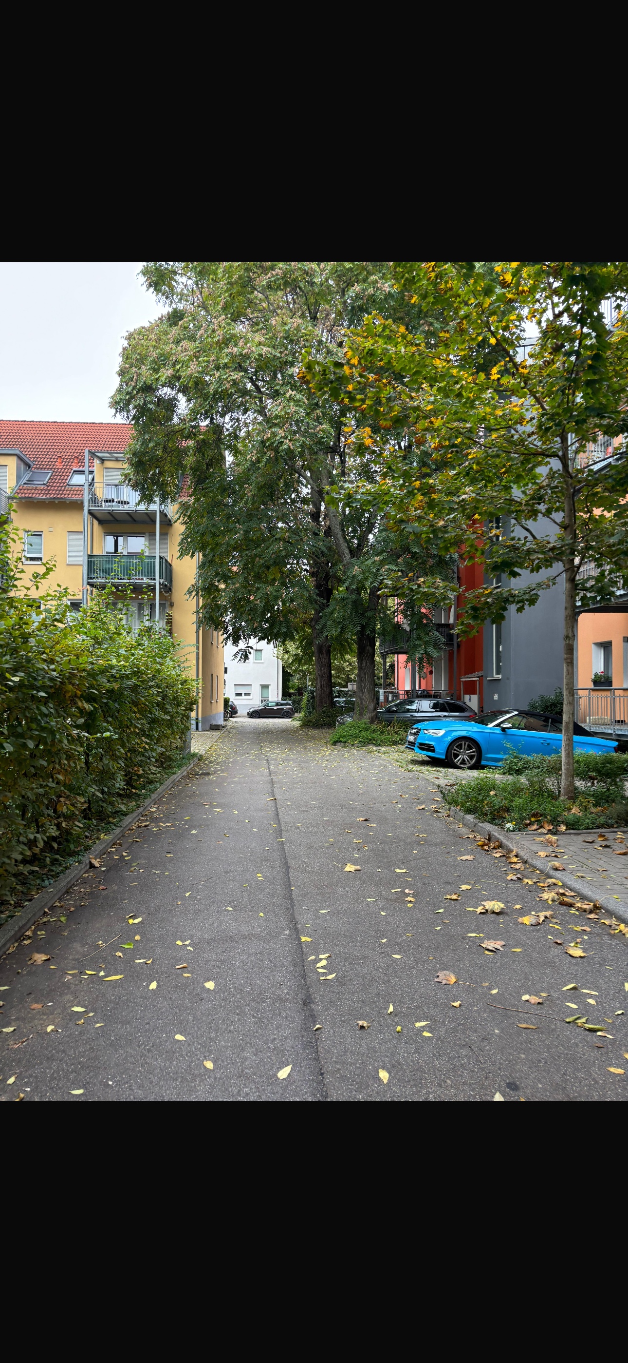 image-19