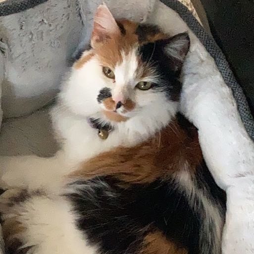 Pebbles