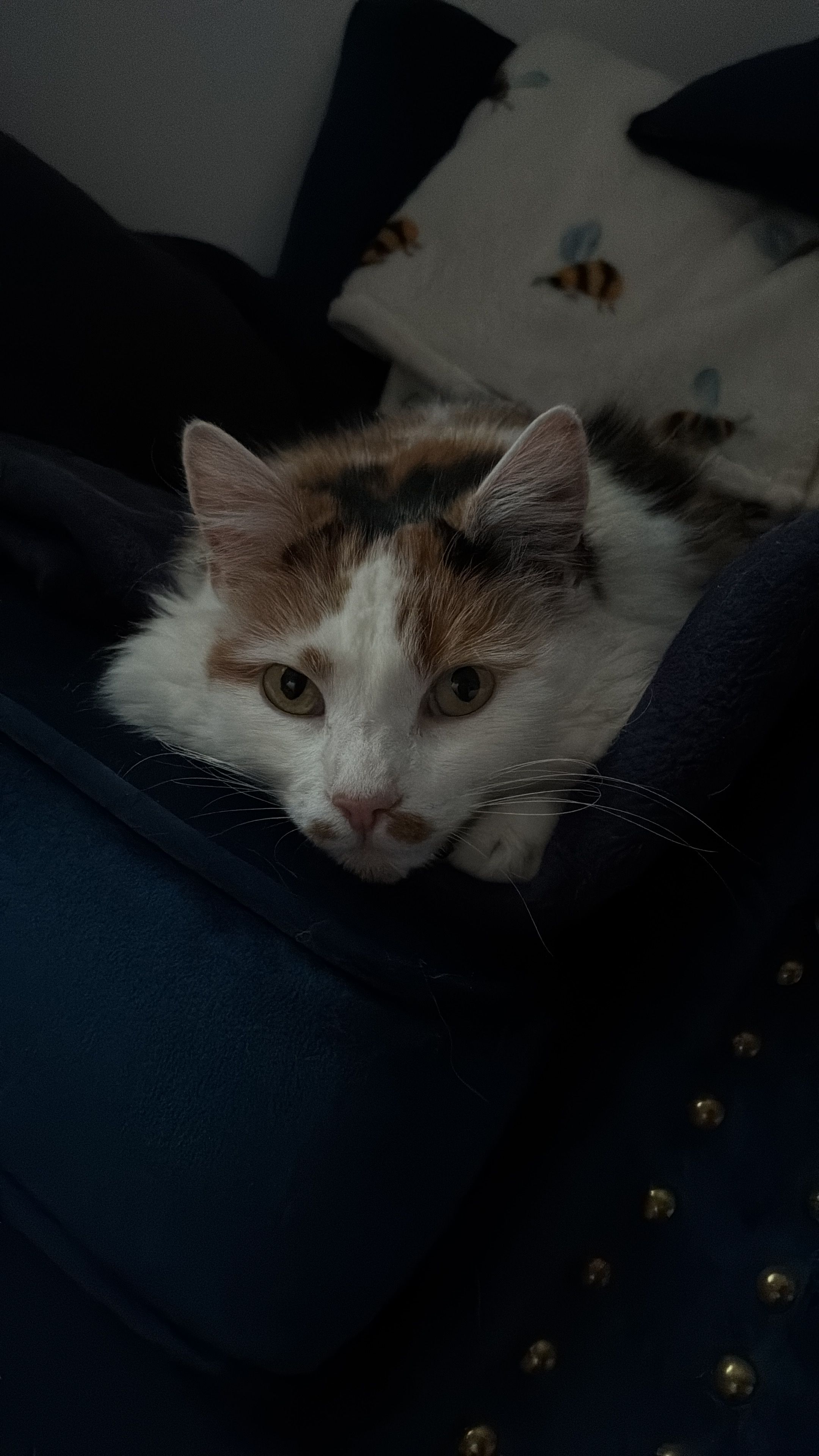 image-10