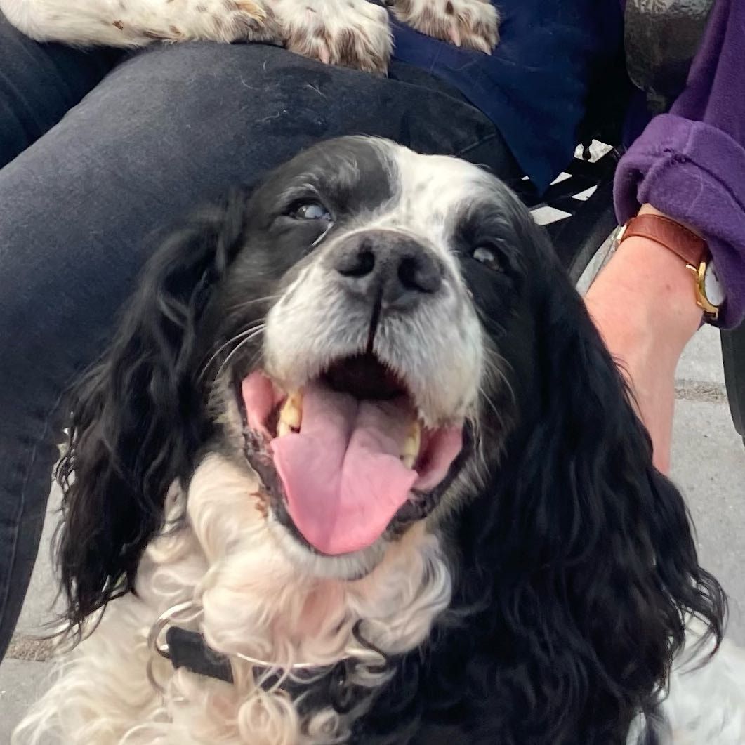 Max