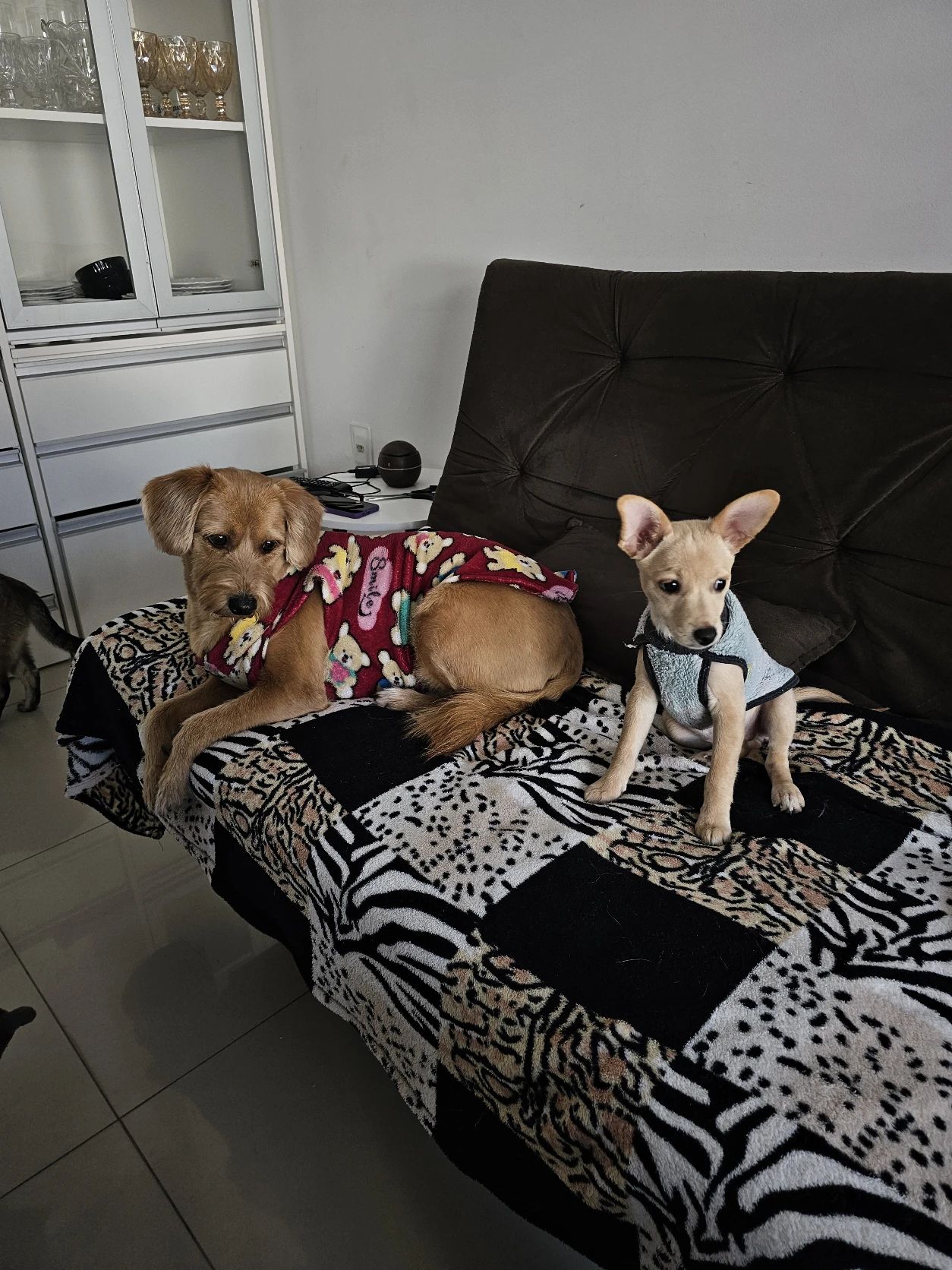 image-7