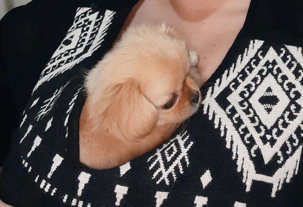 image-10