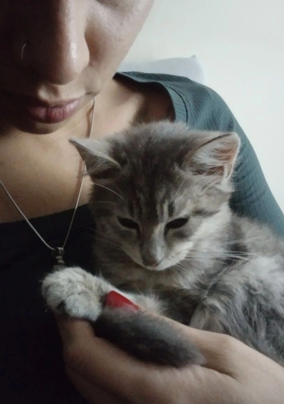 image-7
