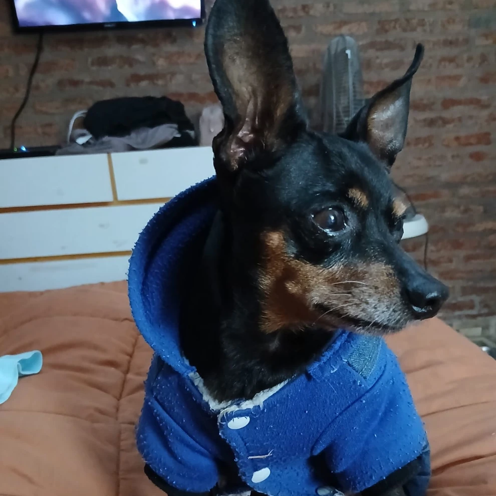 Jimmy