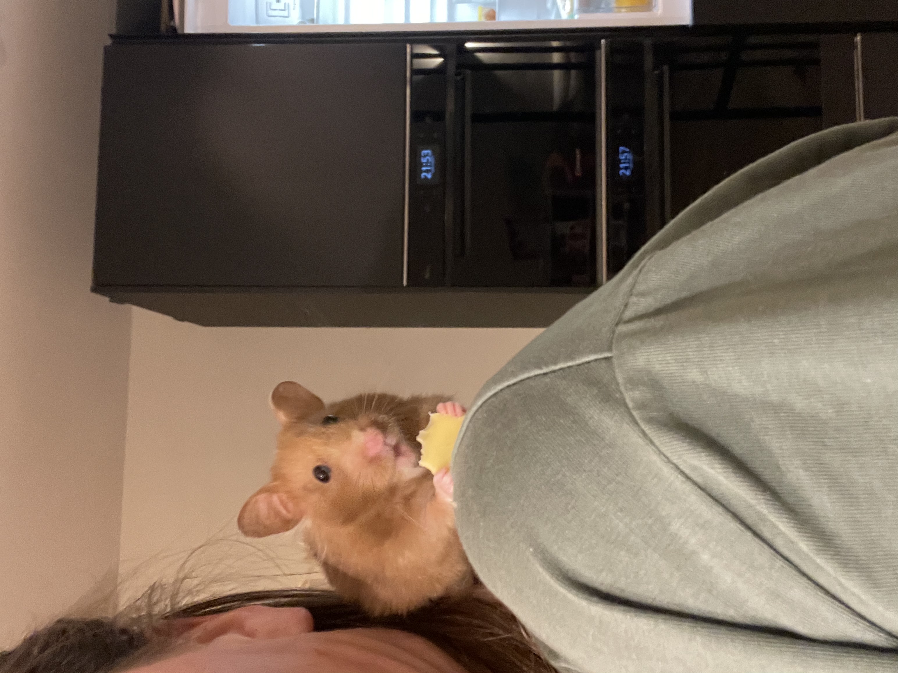 image-6