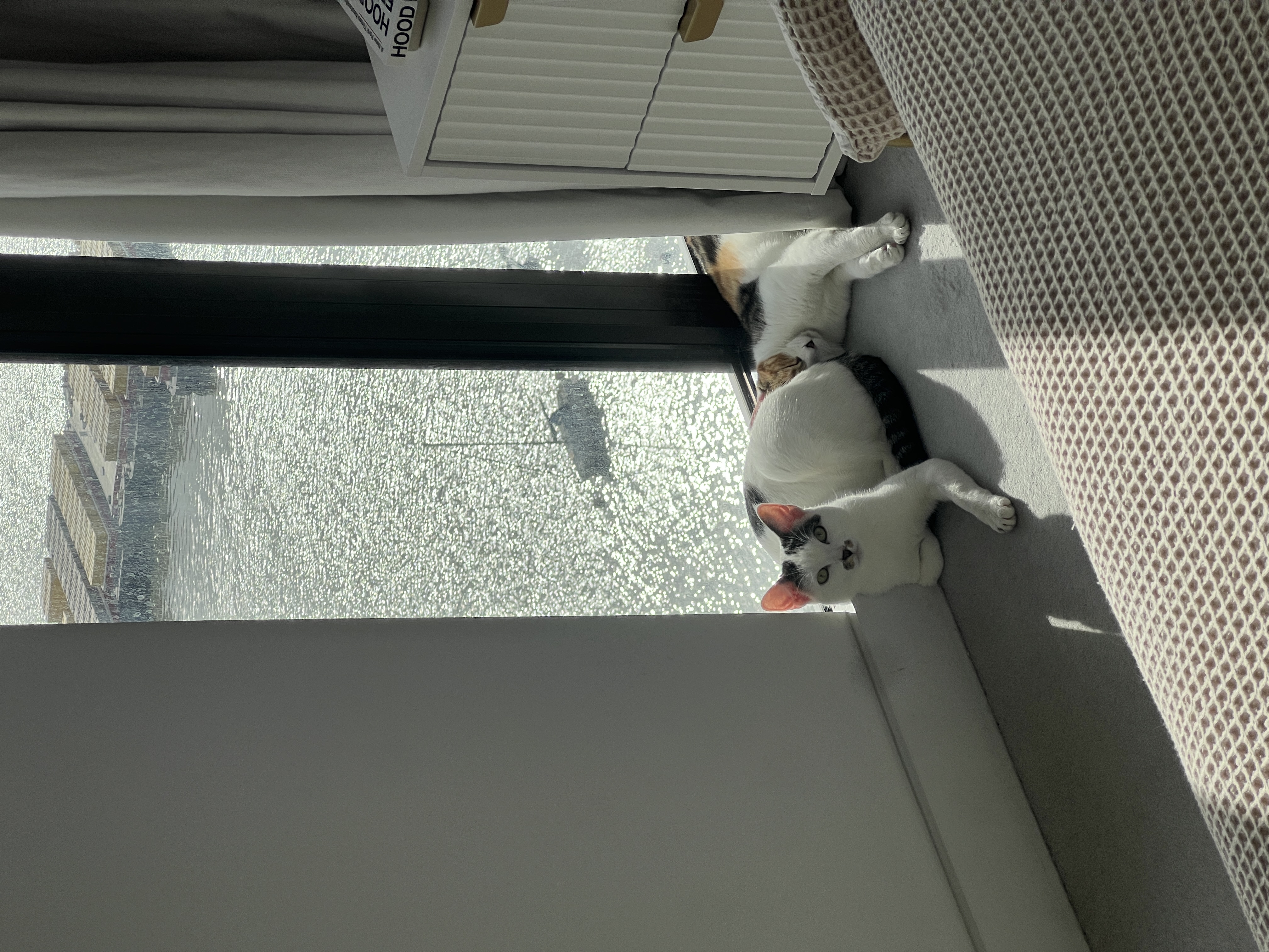 image-8