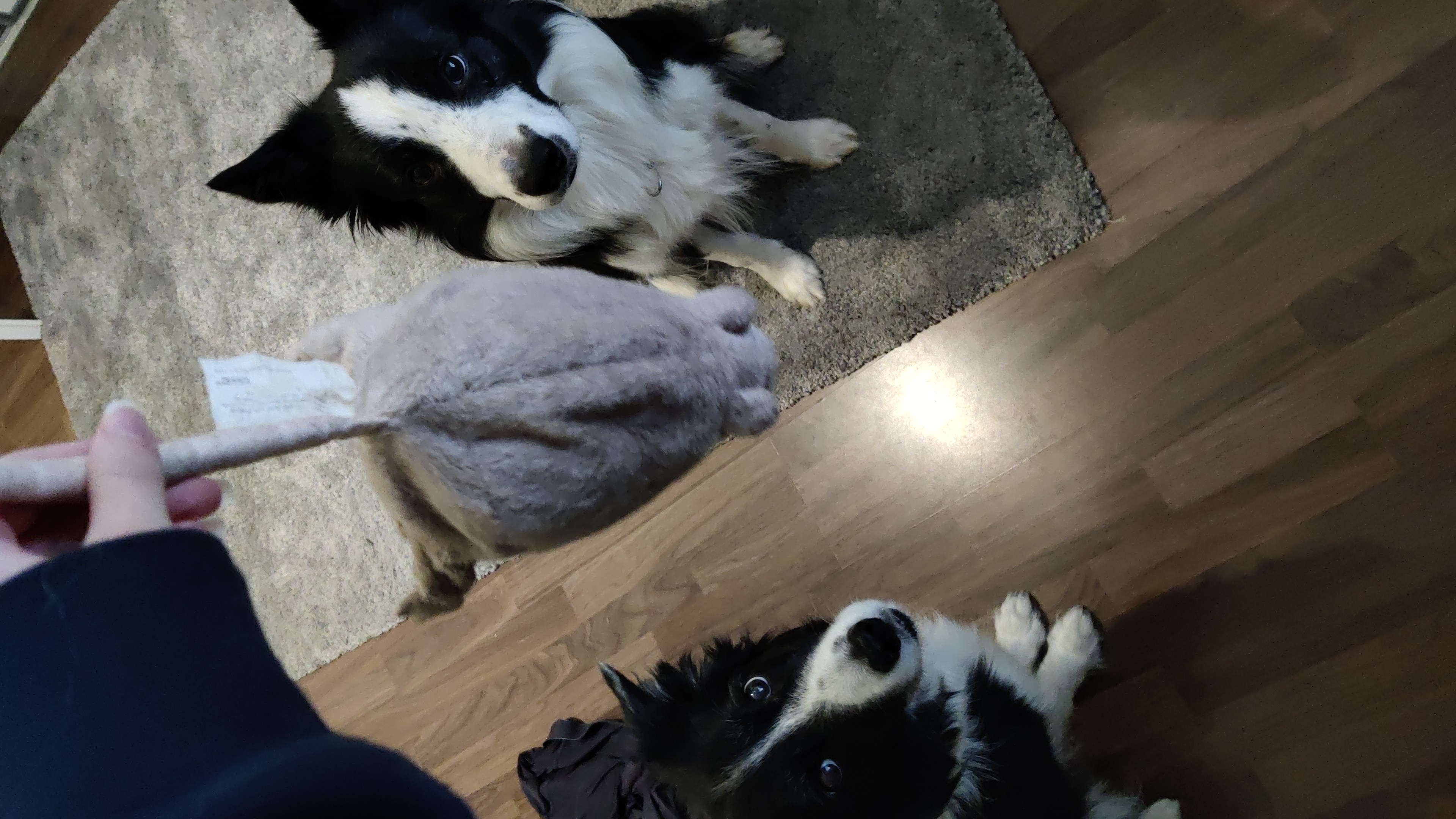 image-9