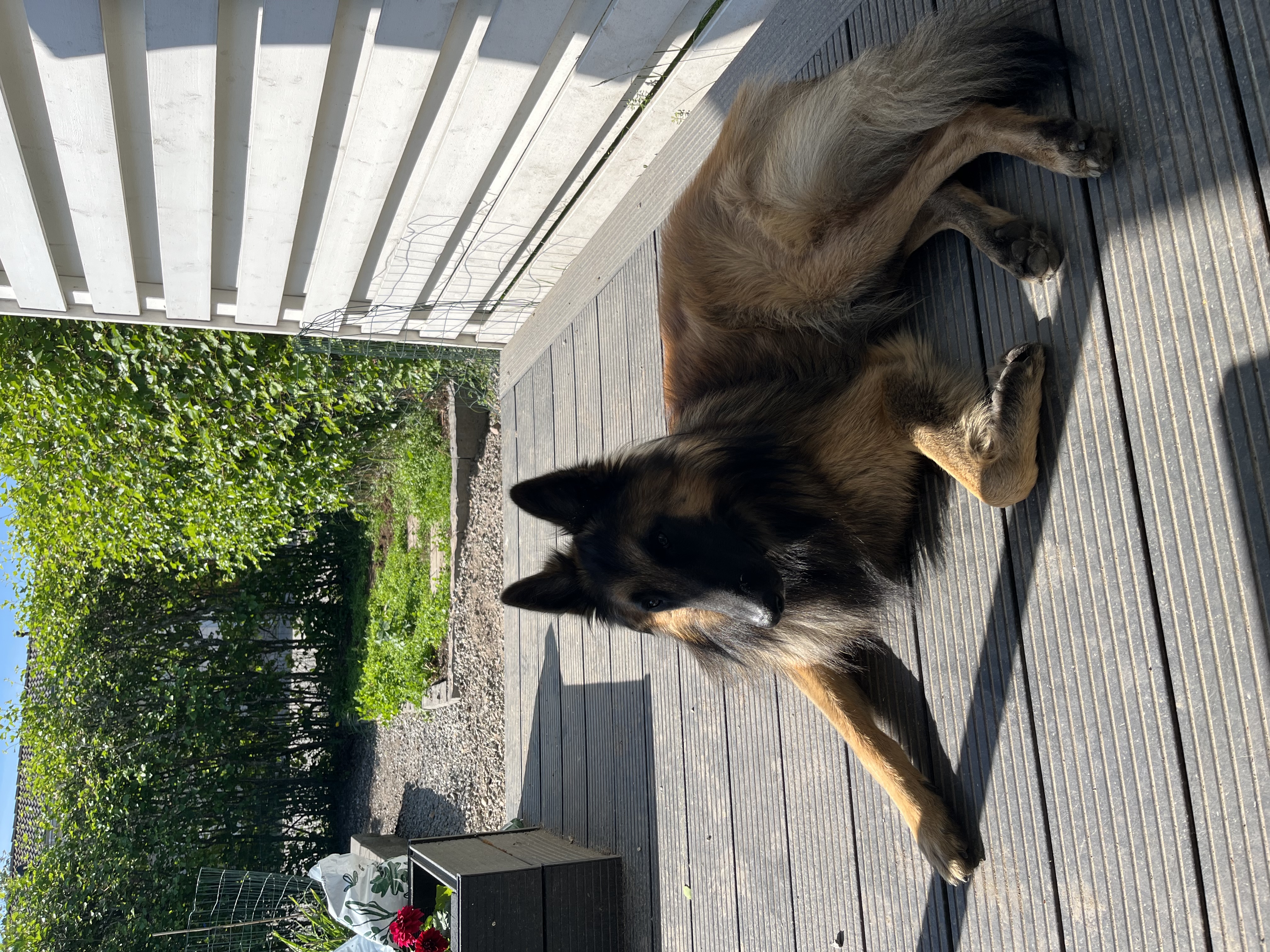 image-15