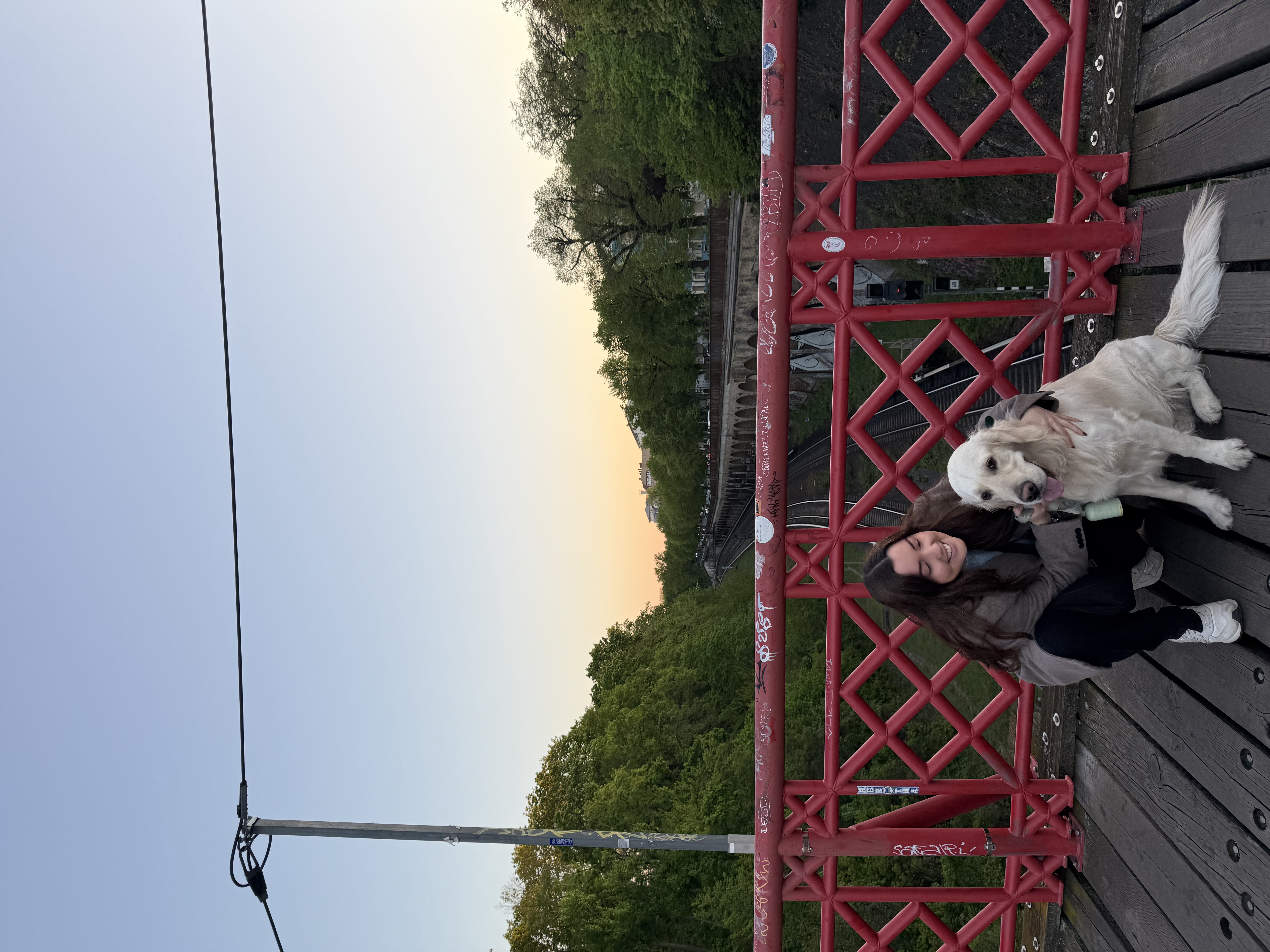 image-2
