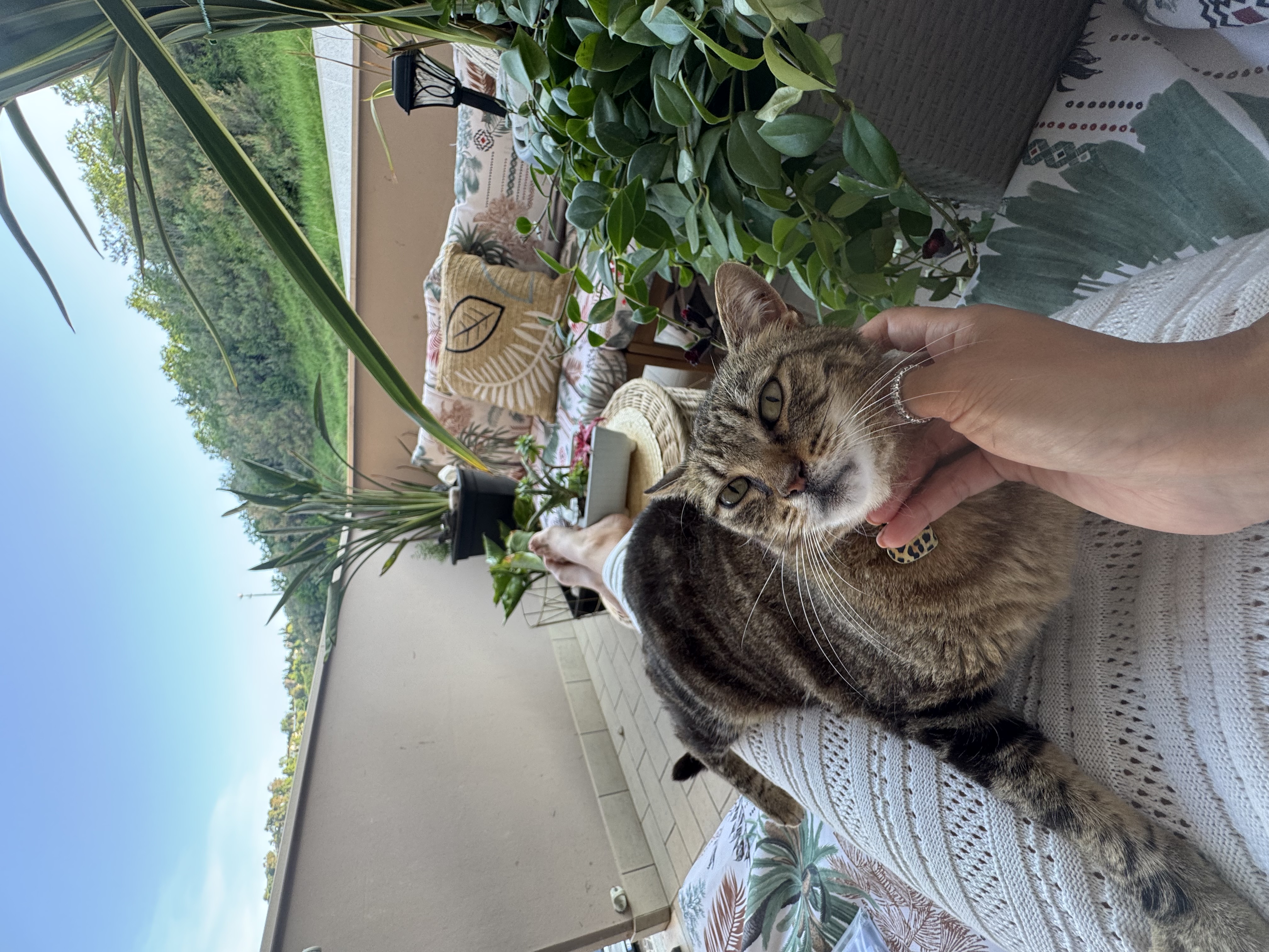 image-6