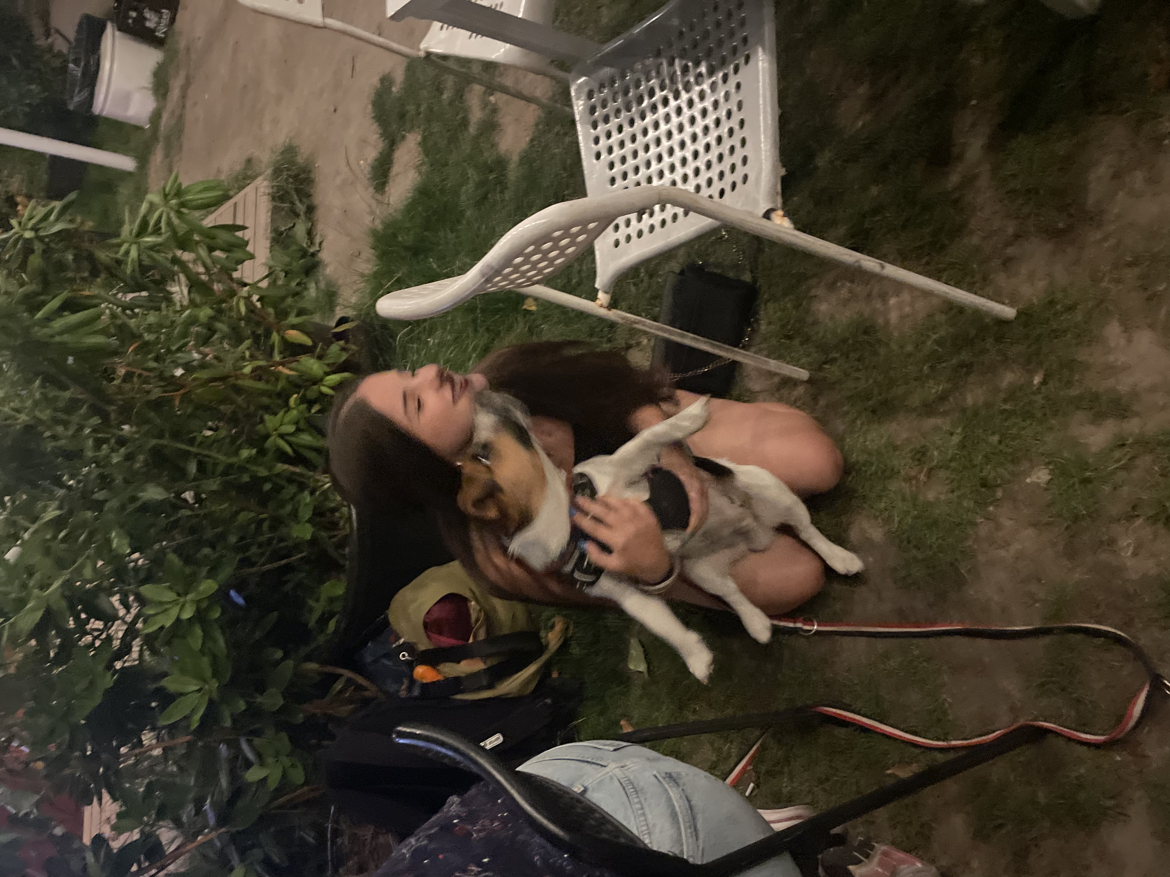 image-7