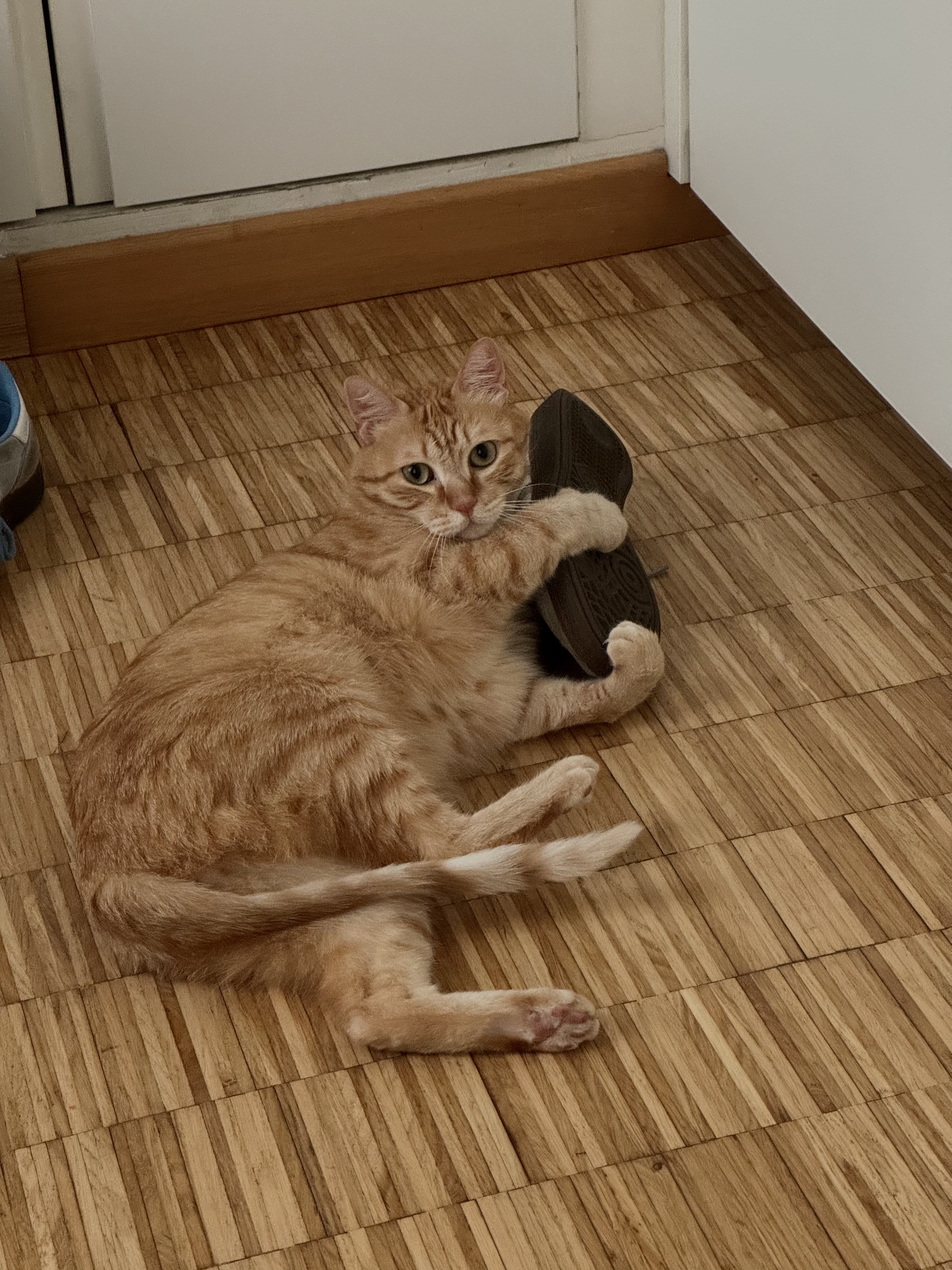 image-10