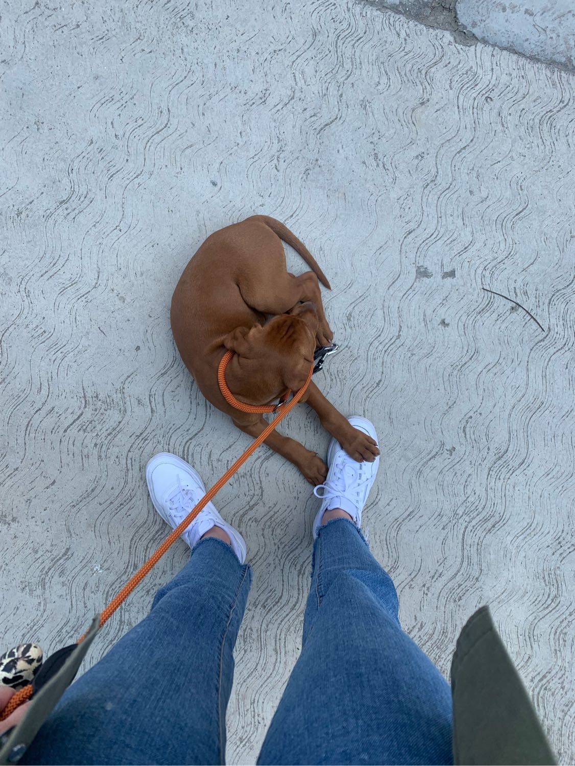 image-8