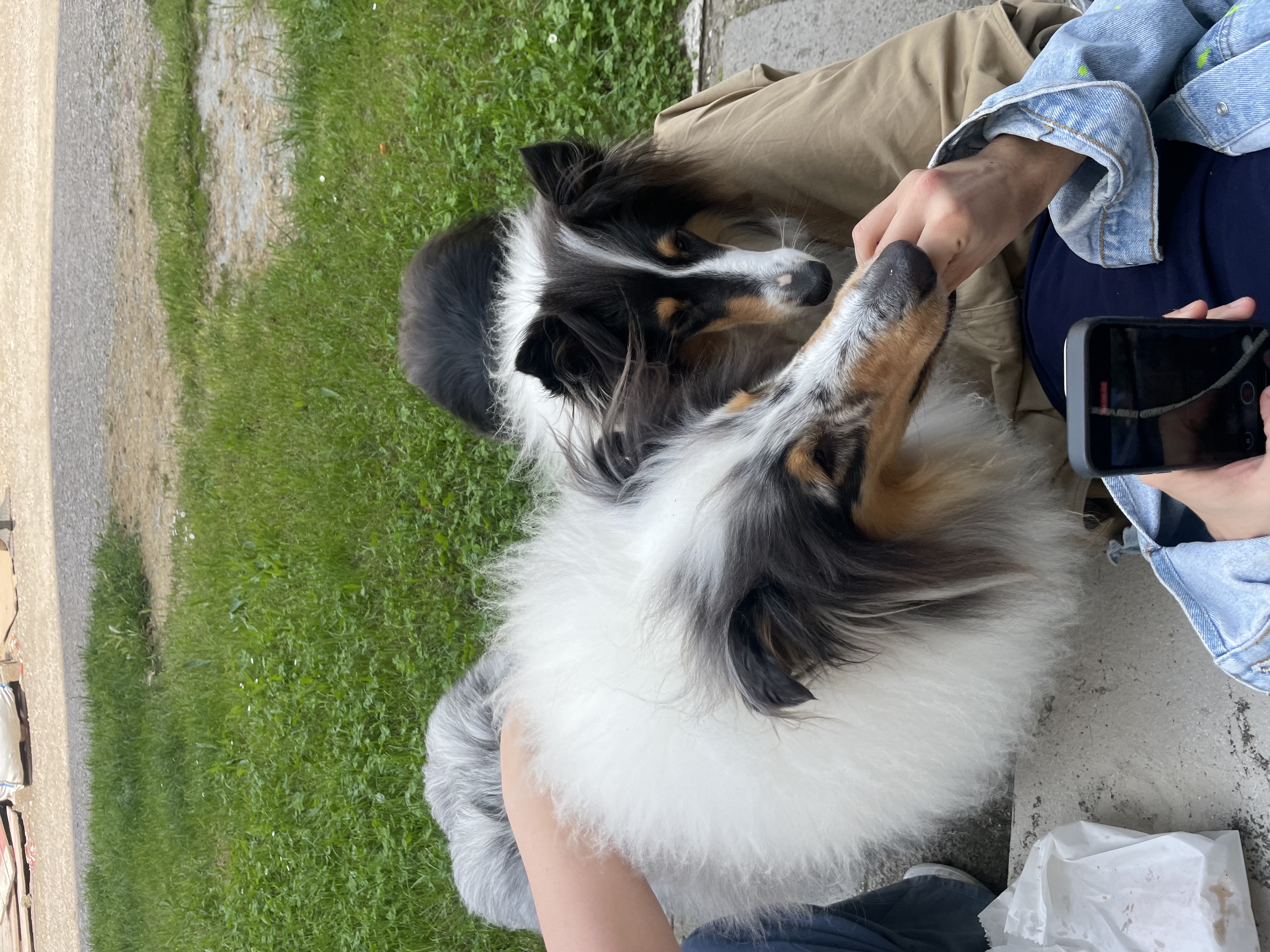 image-9