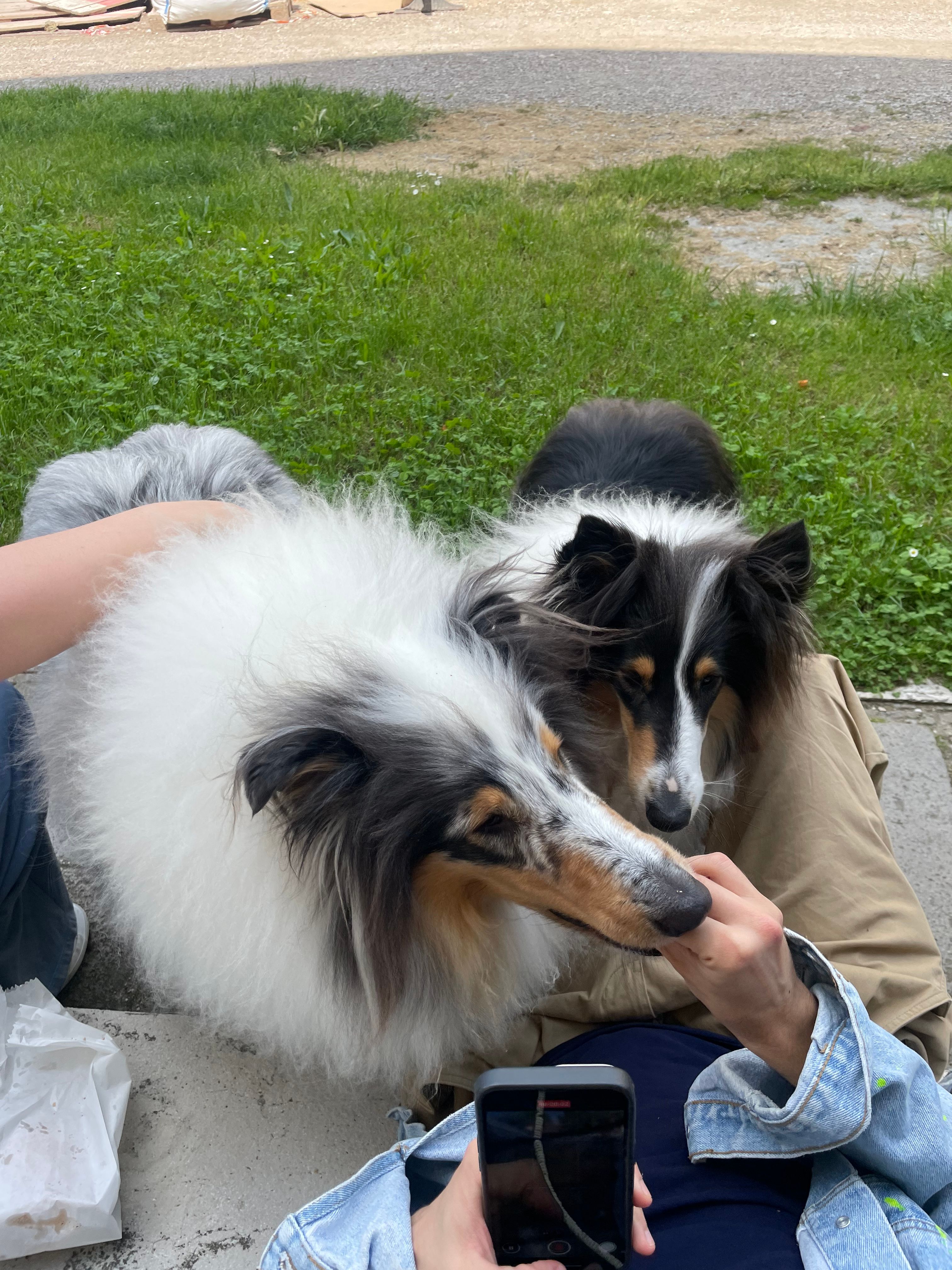 image-9