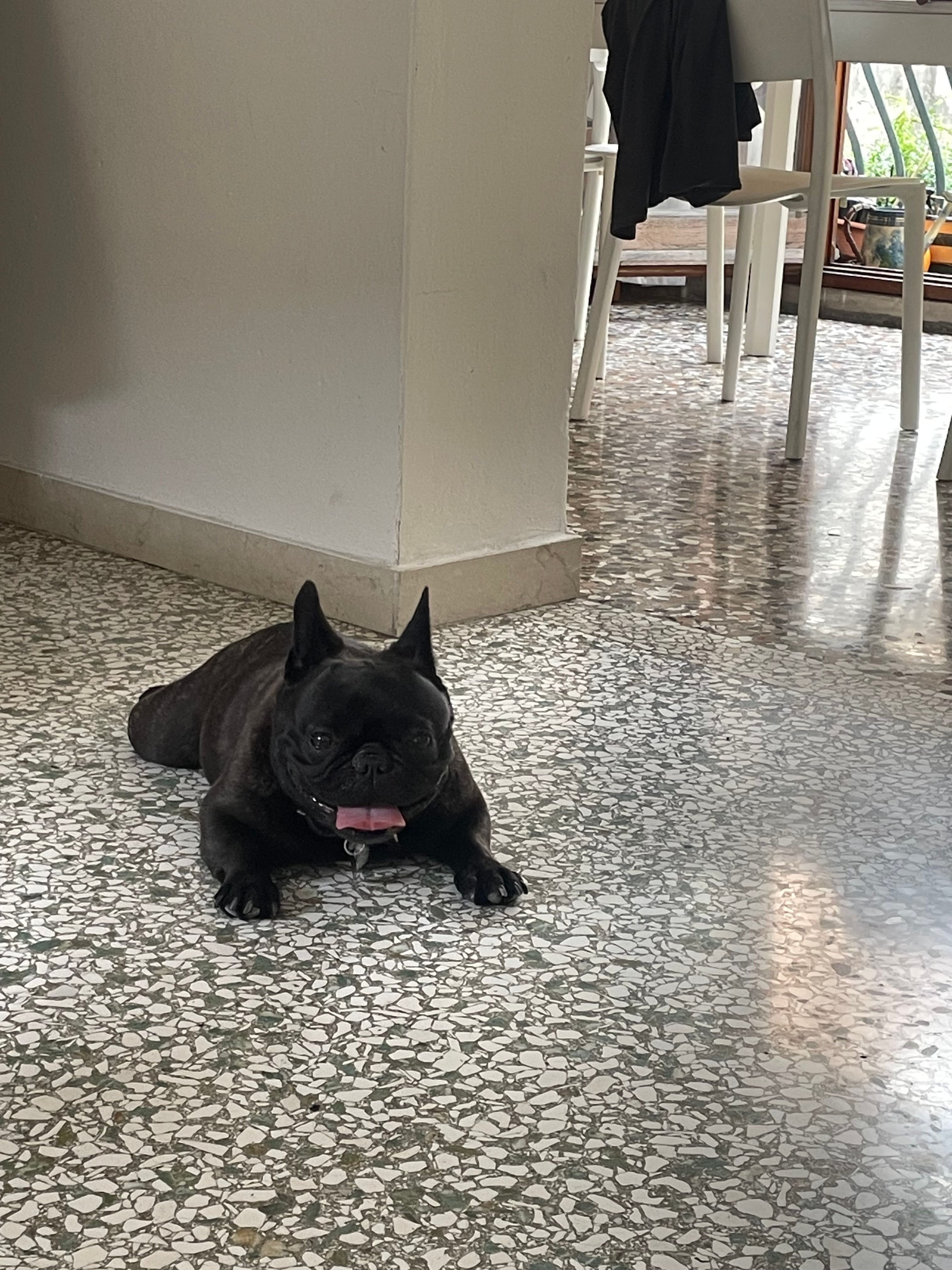 image-7