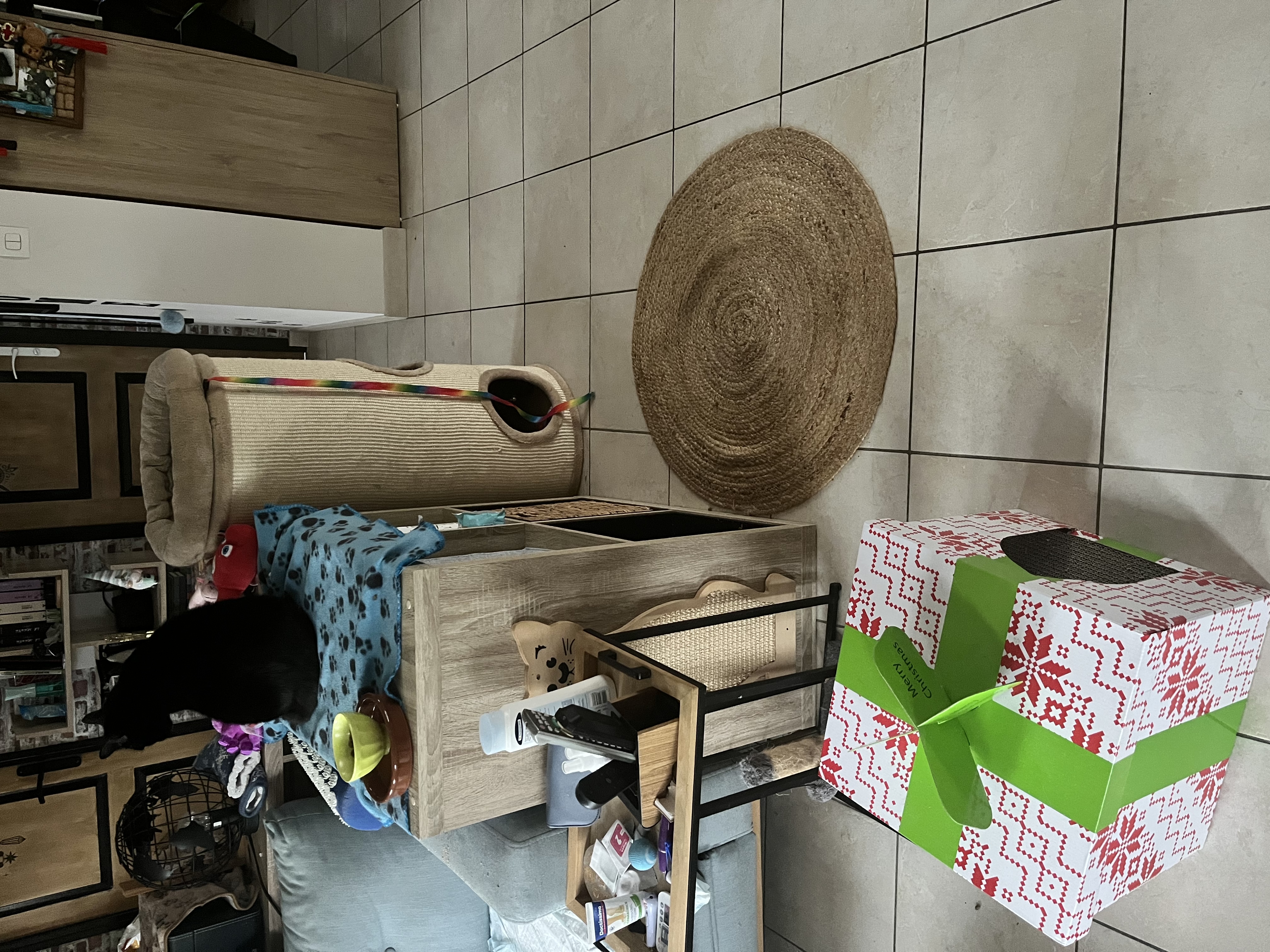 image-19