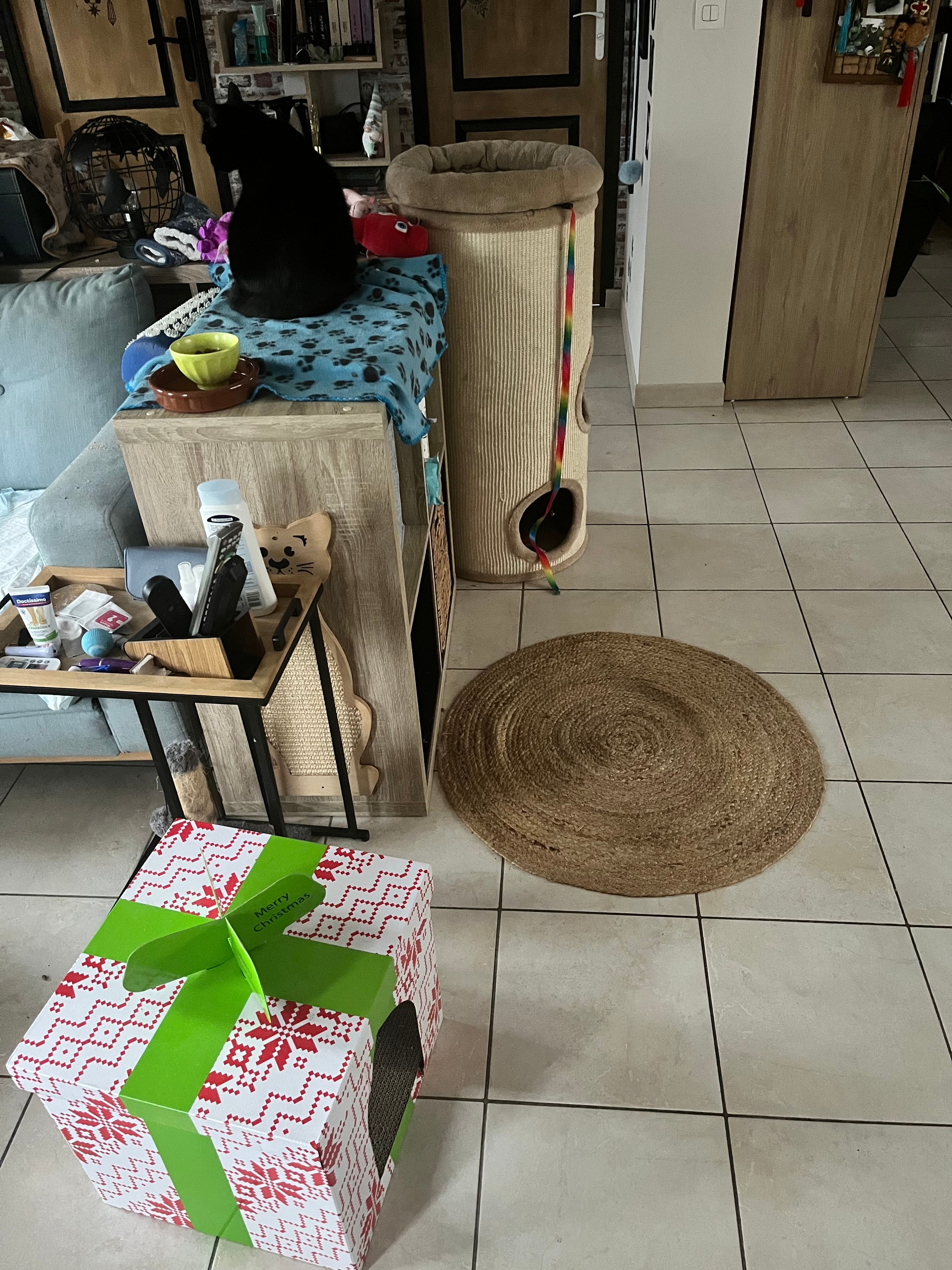 image-19