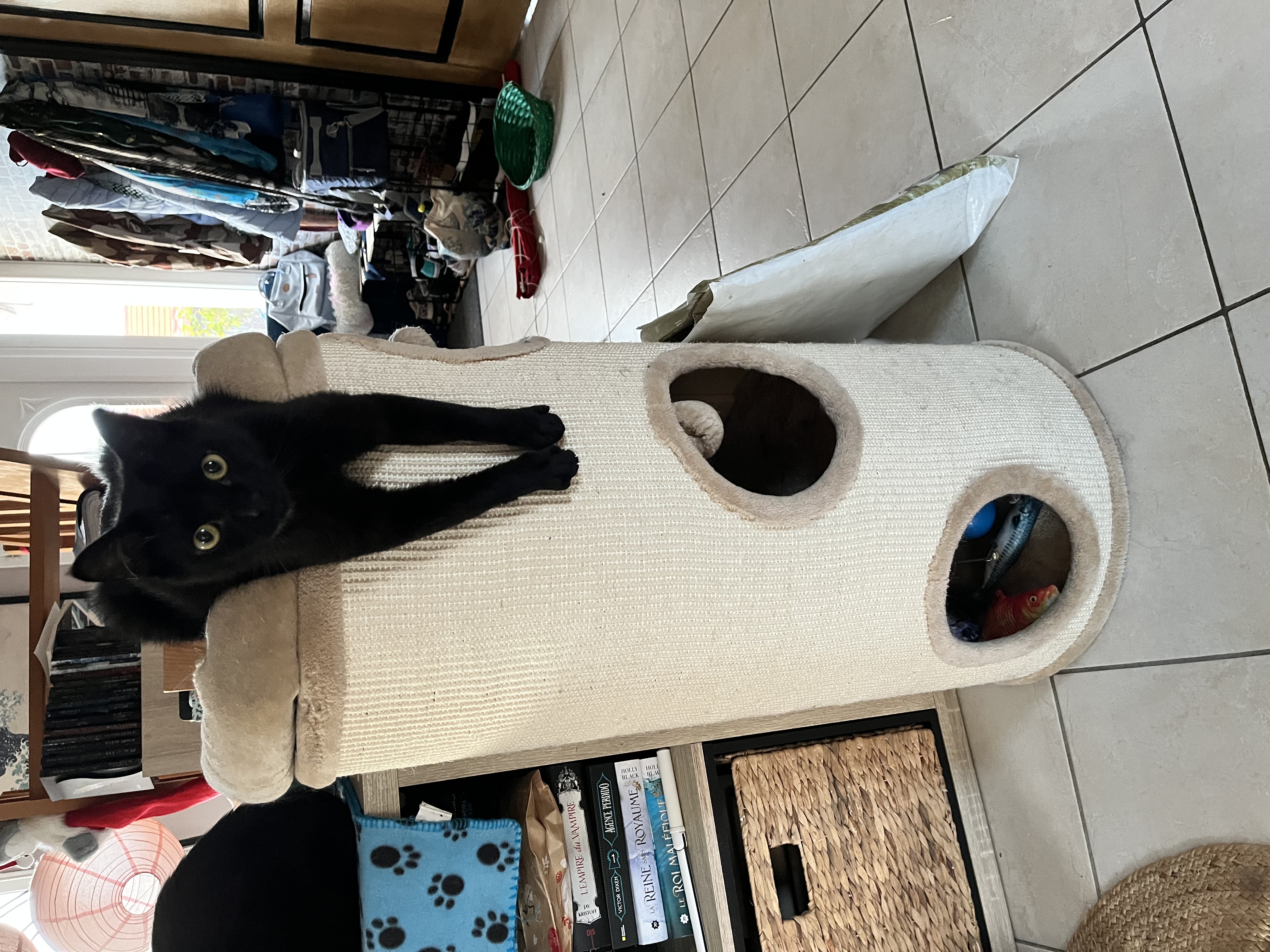 image-1