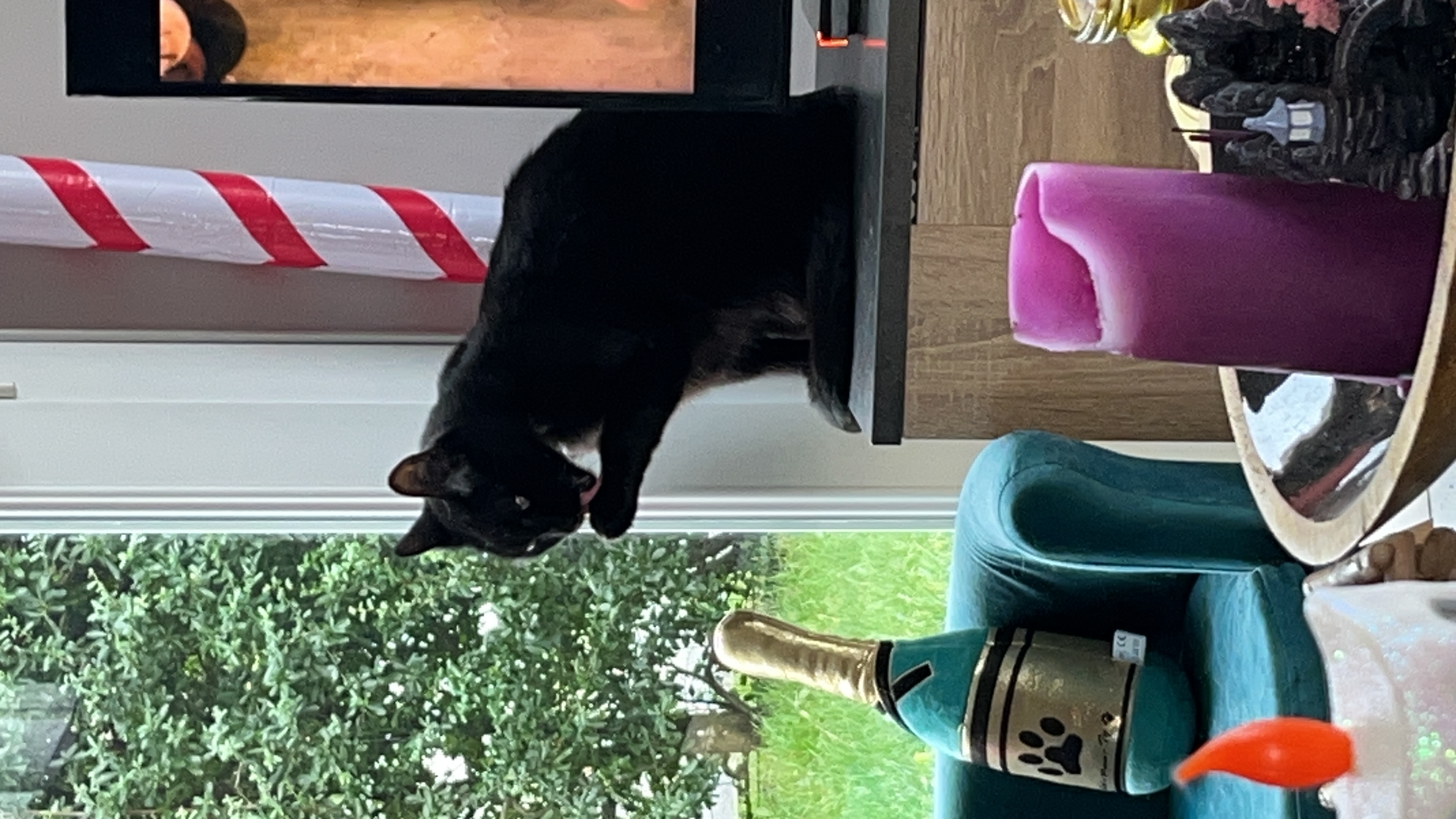 image-6
