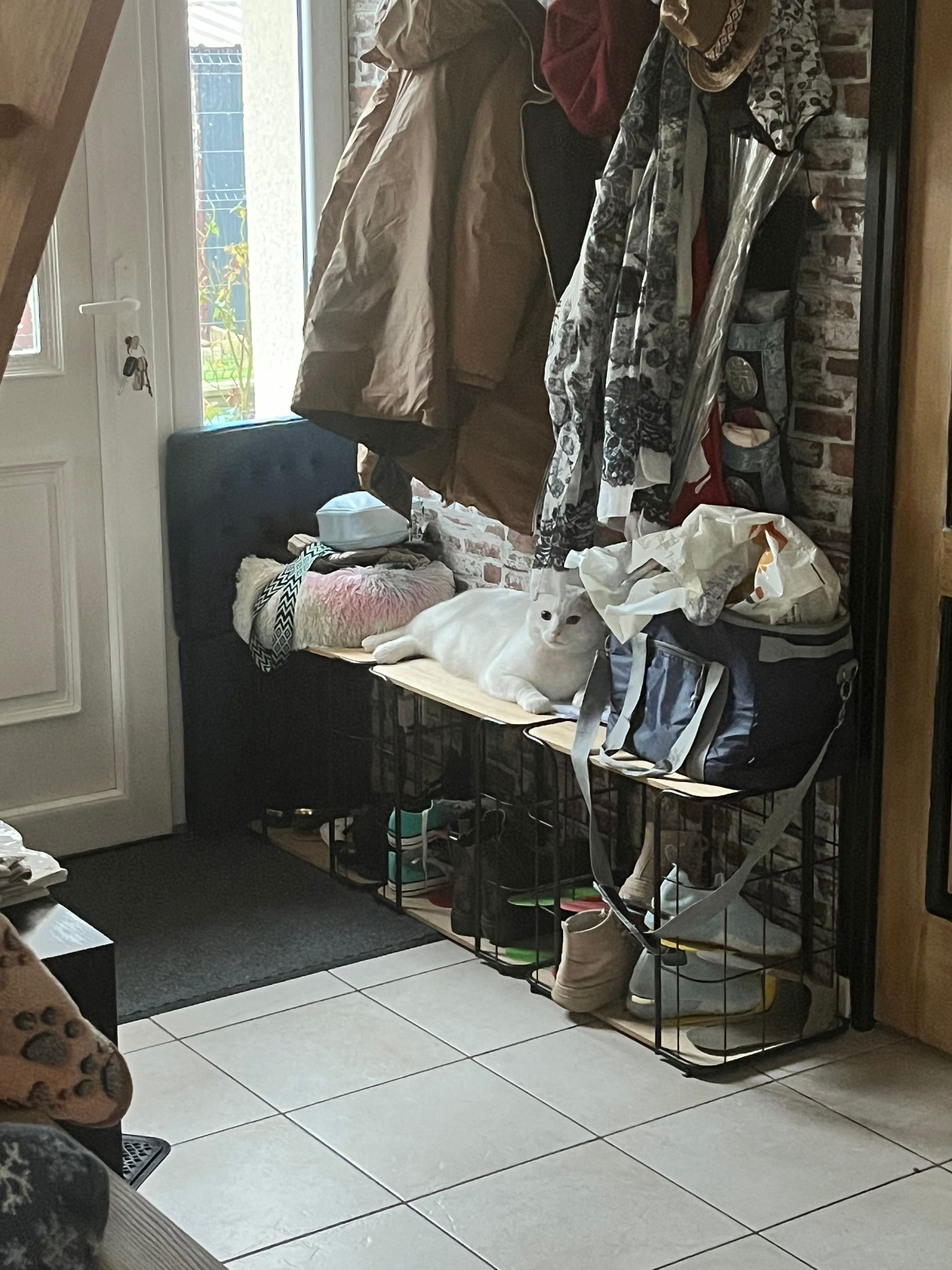image-20