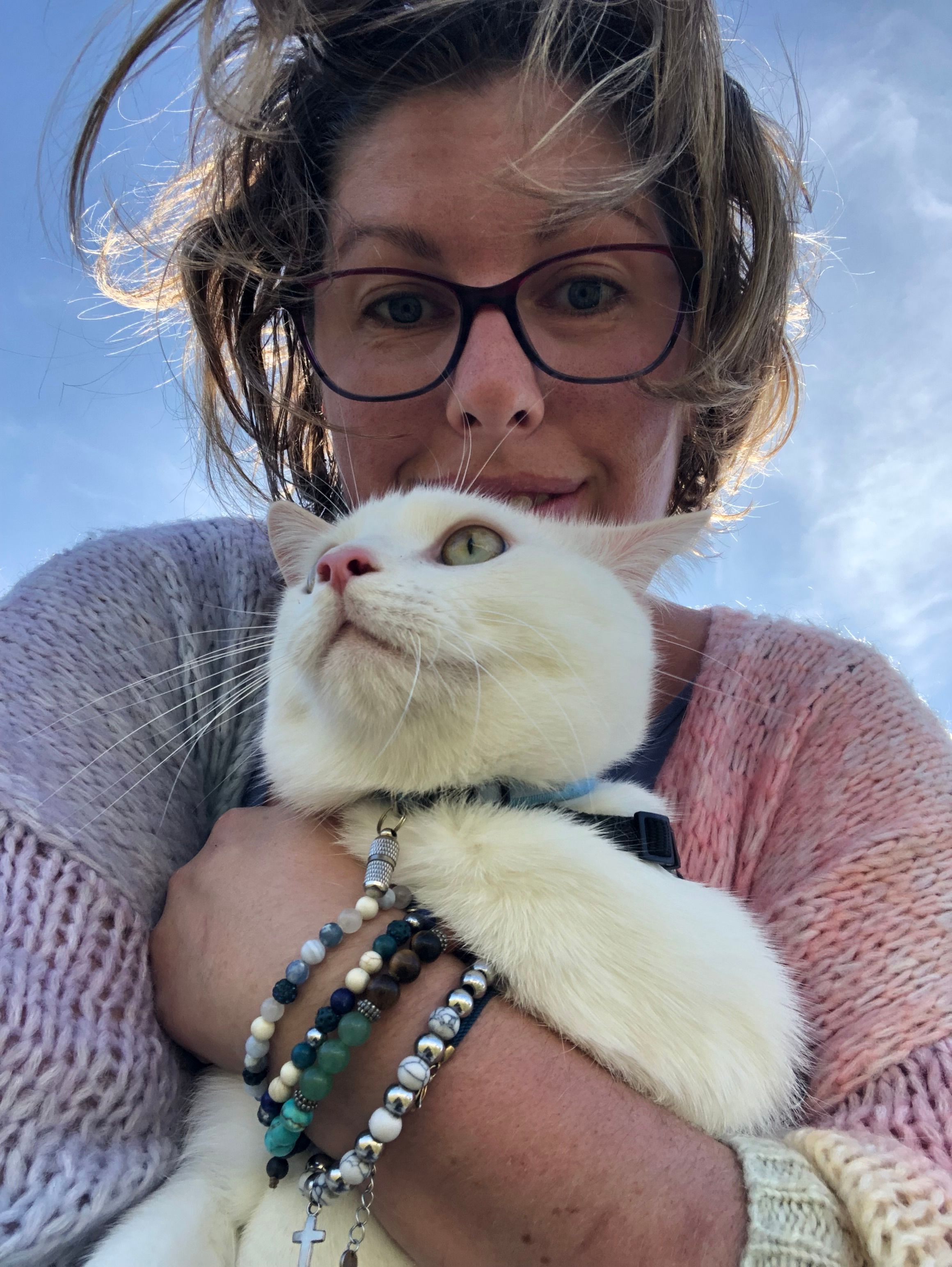 image-7