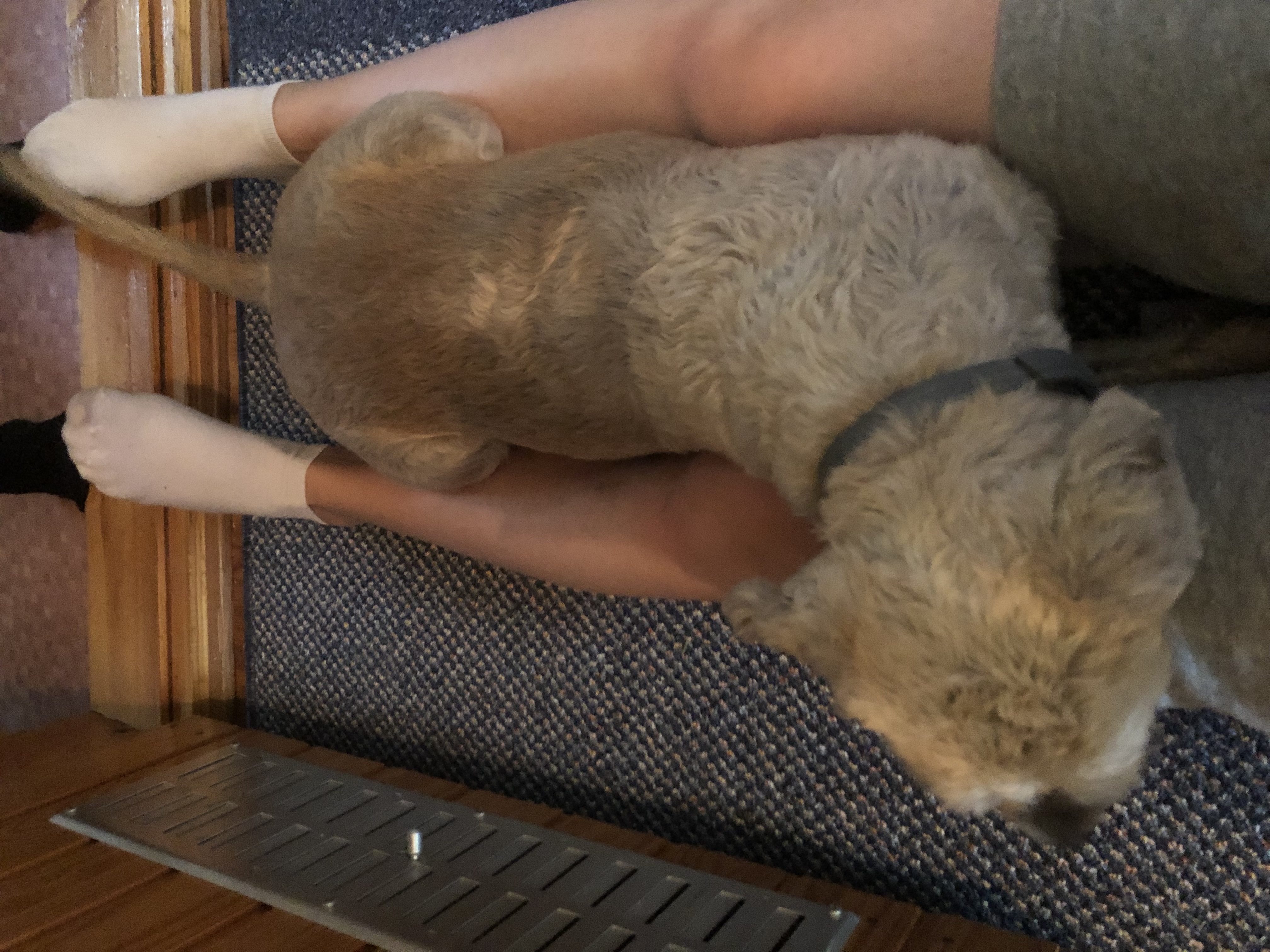 image-5
