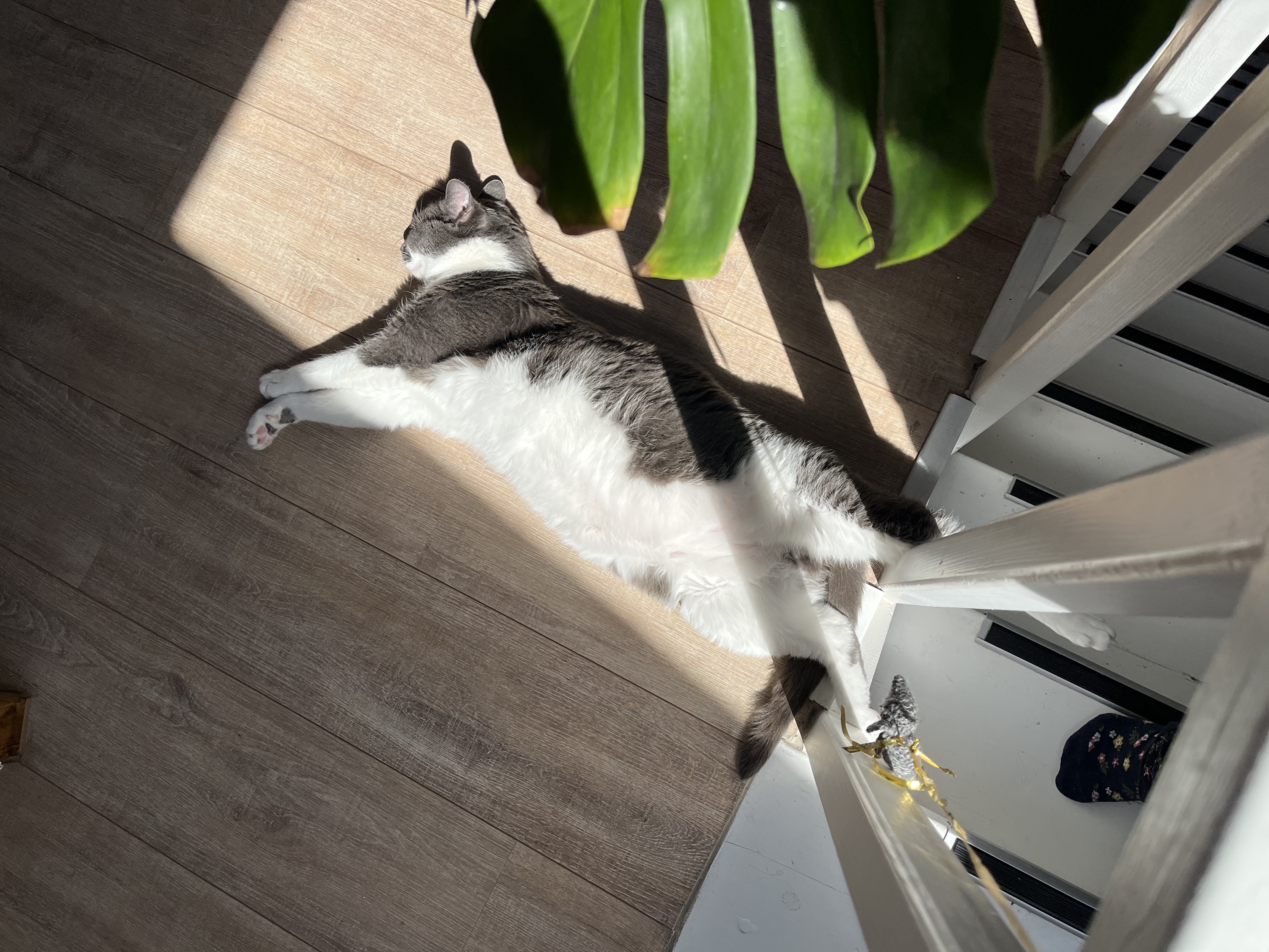 image-9