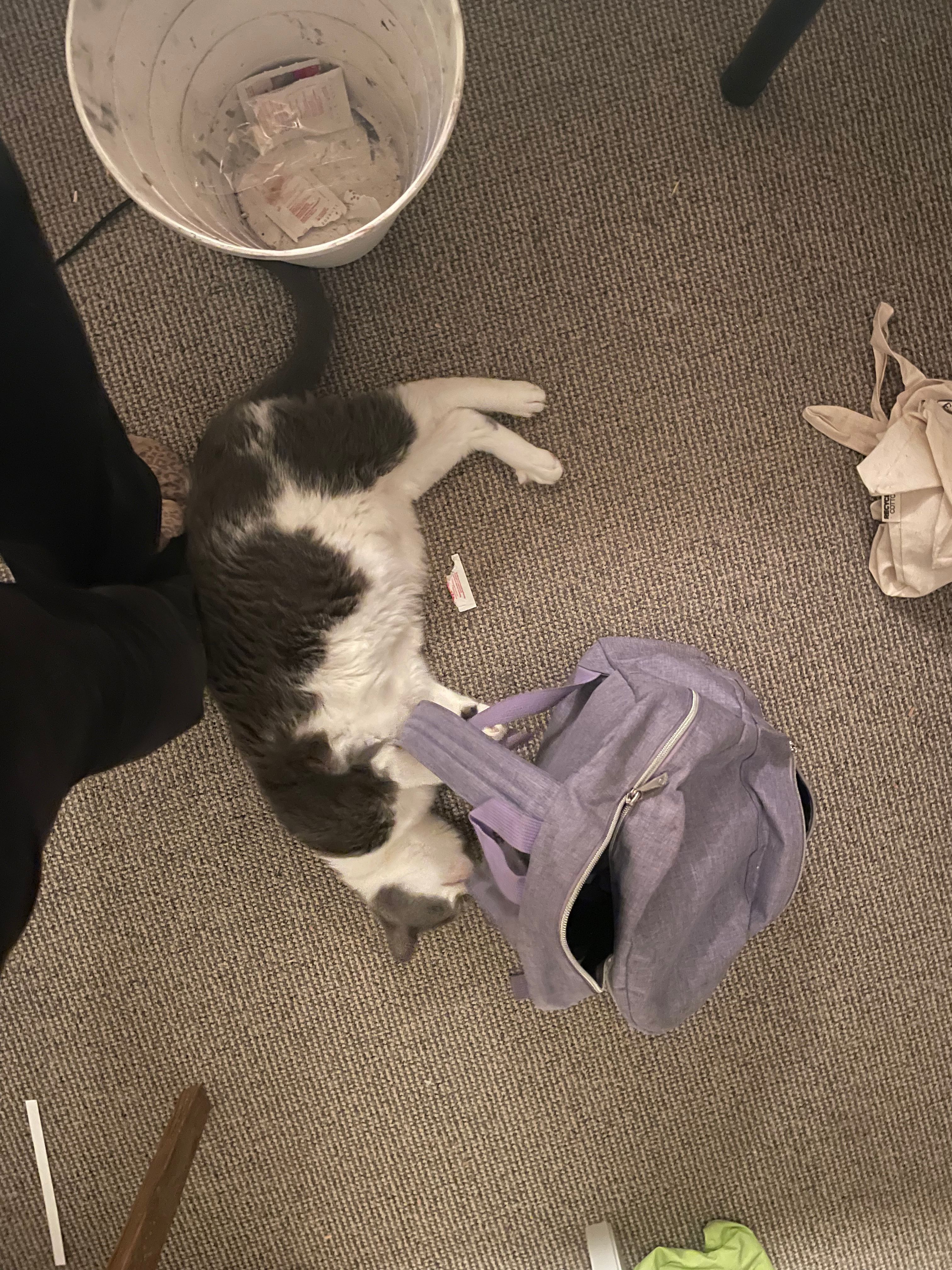 image-12