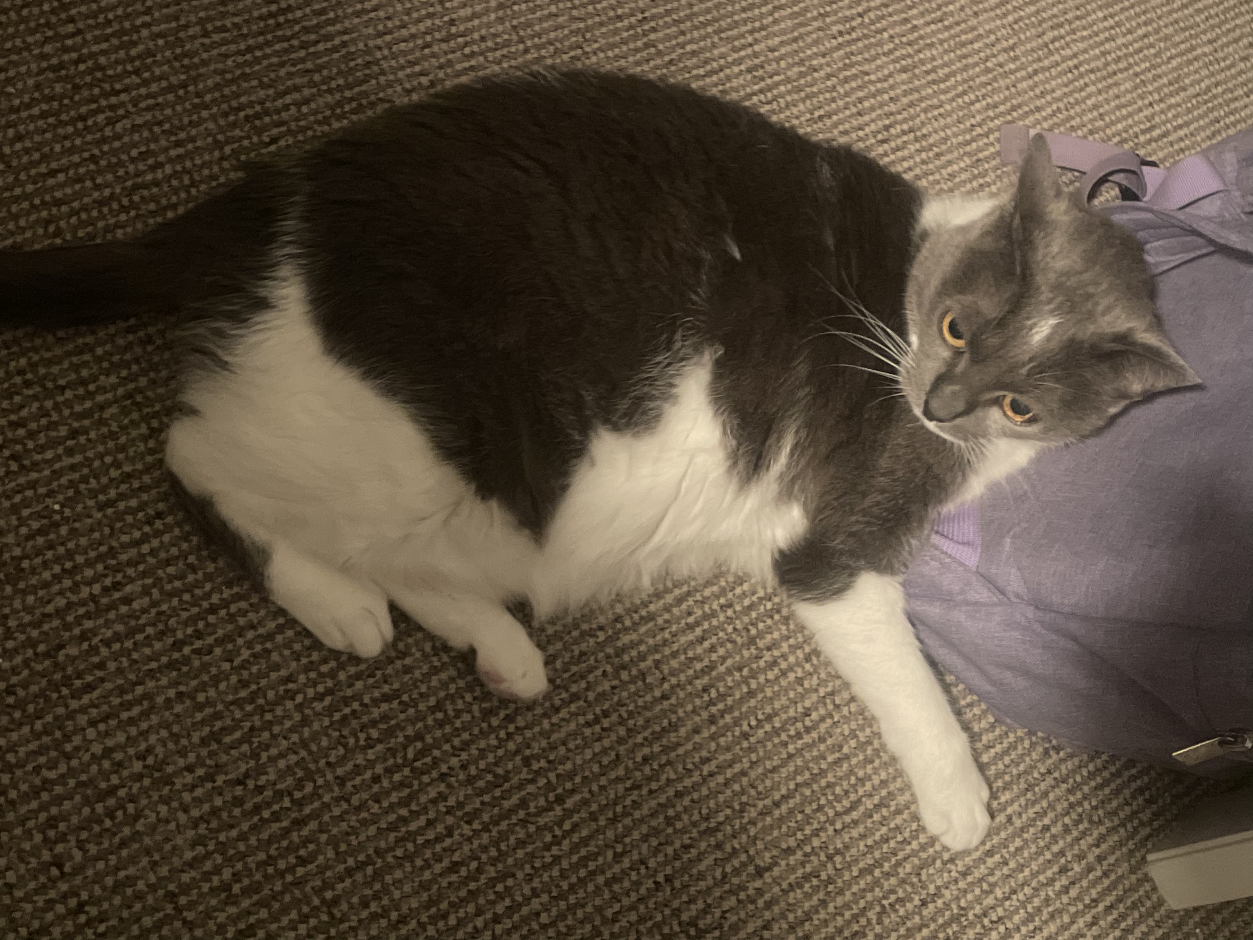 image-11