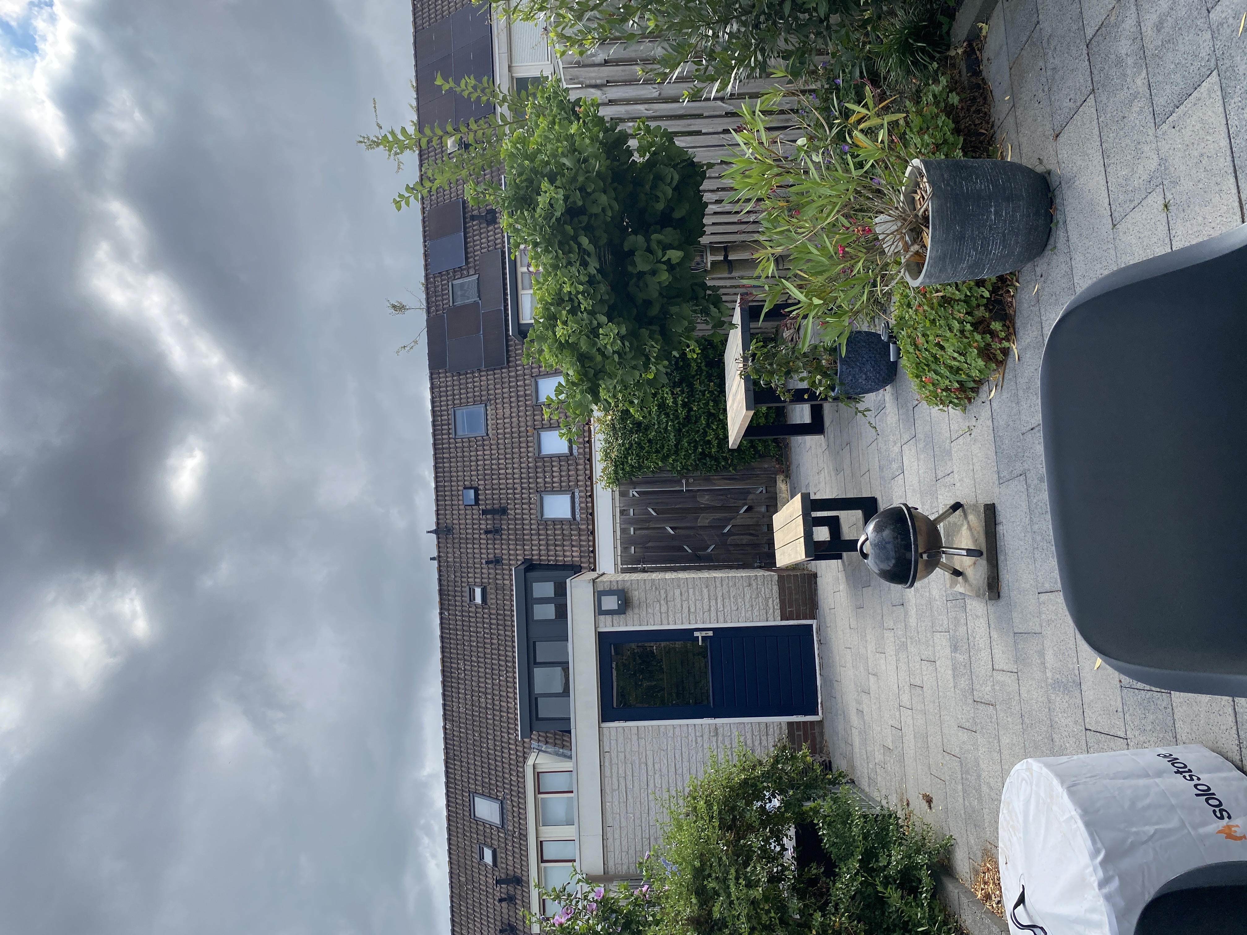 image-15