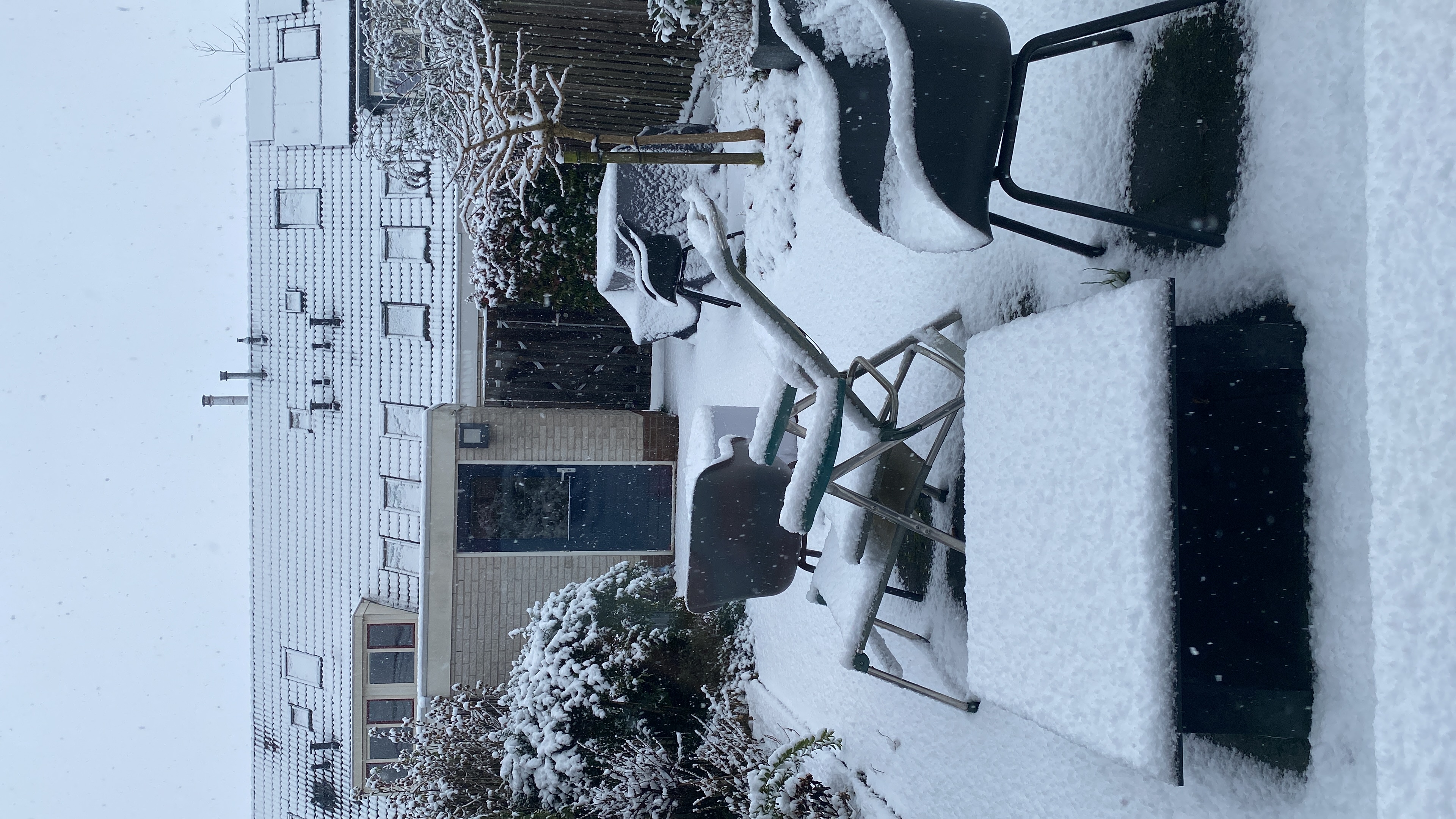 image-8