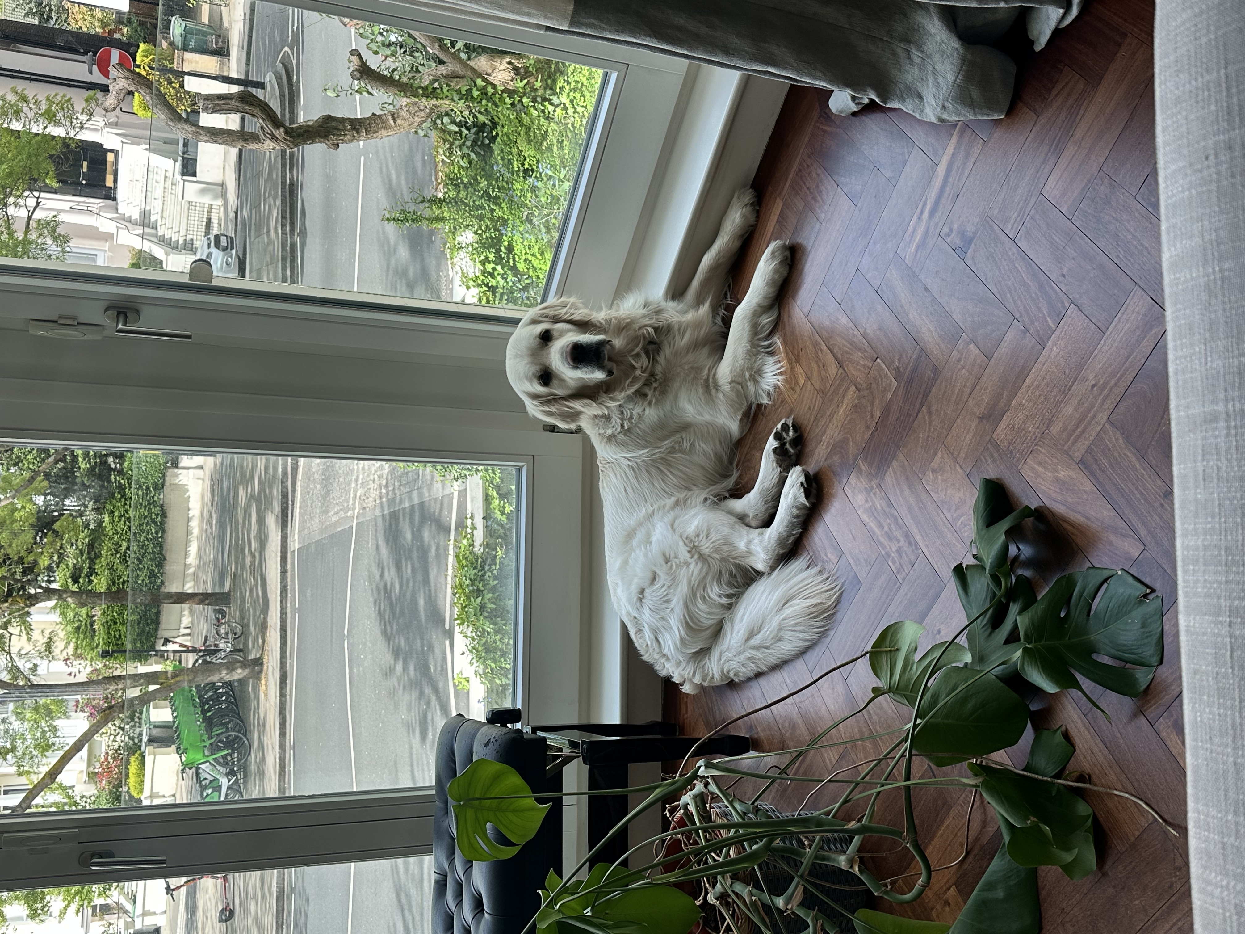 image-13