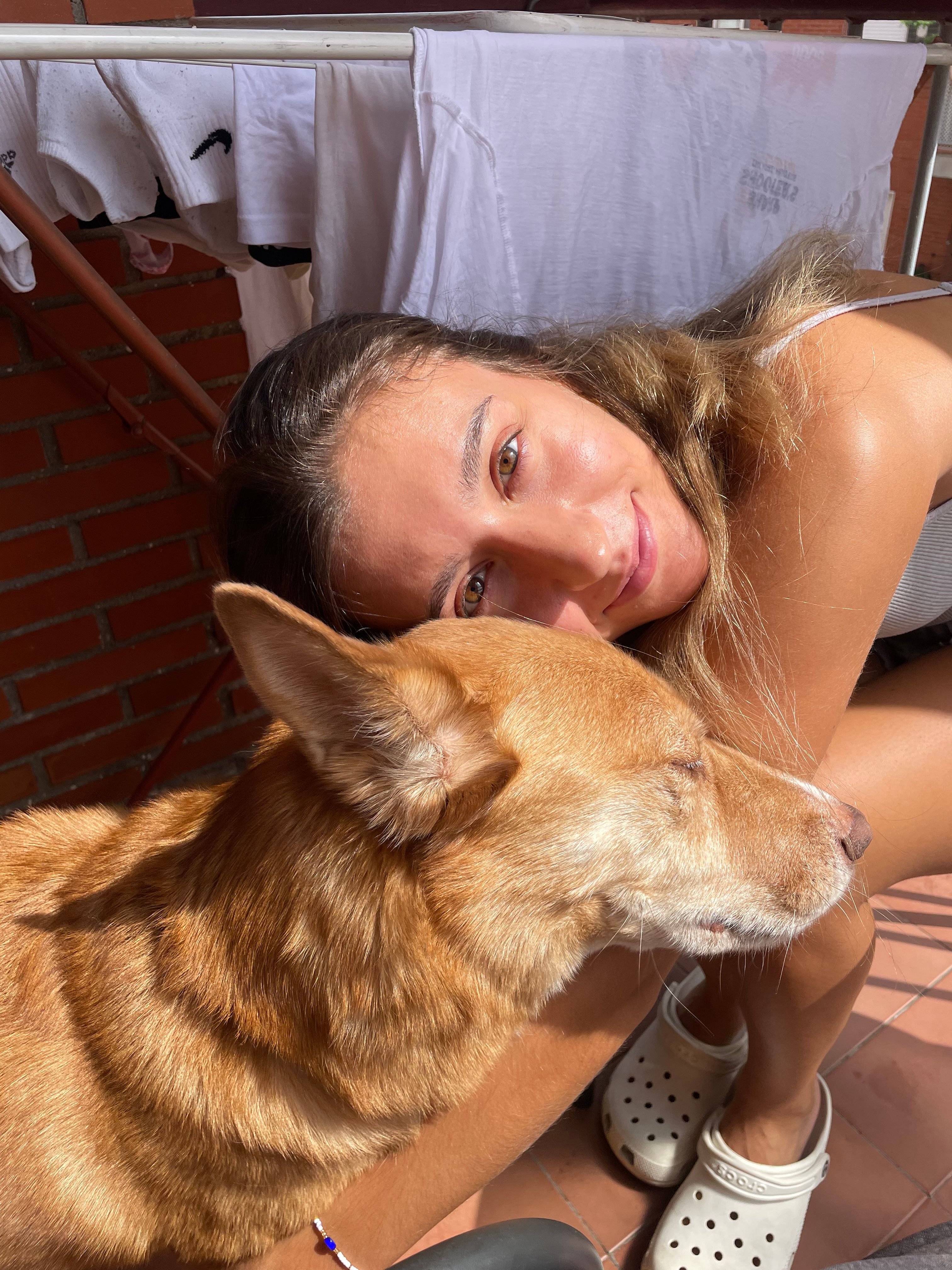 image-6