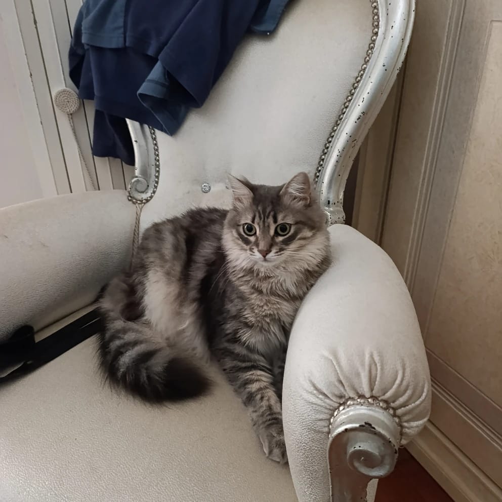 Romeo