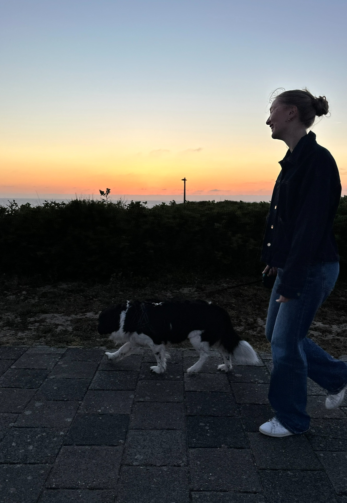 image-8