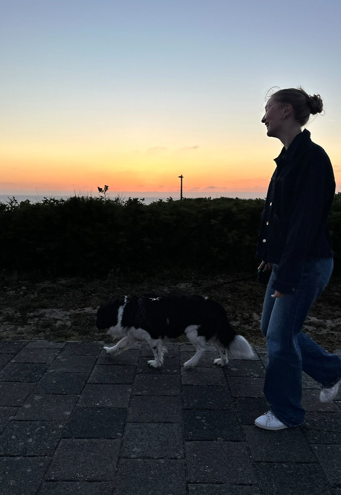 image-8