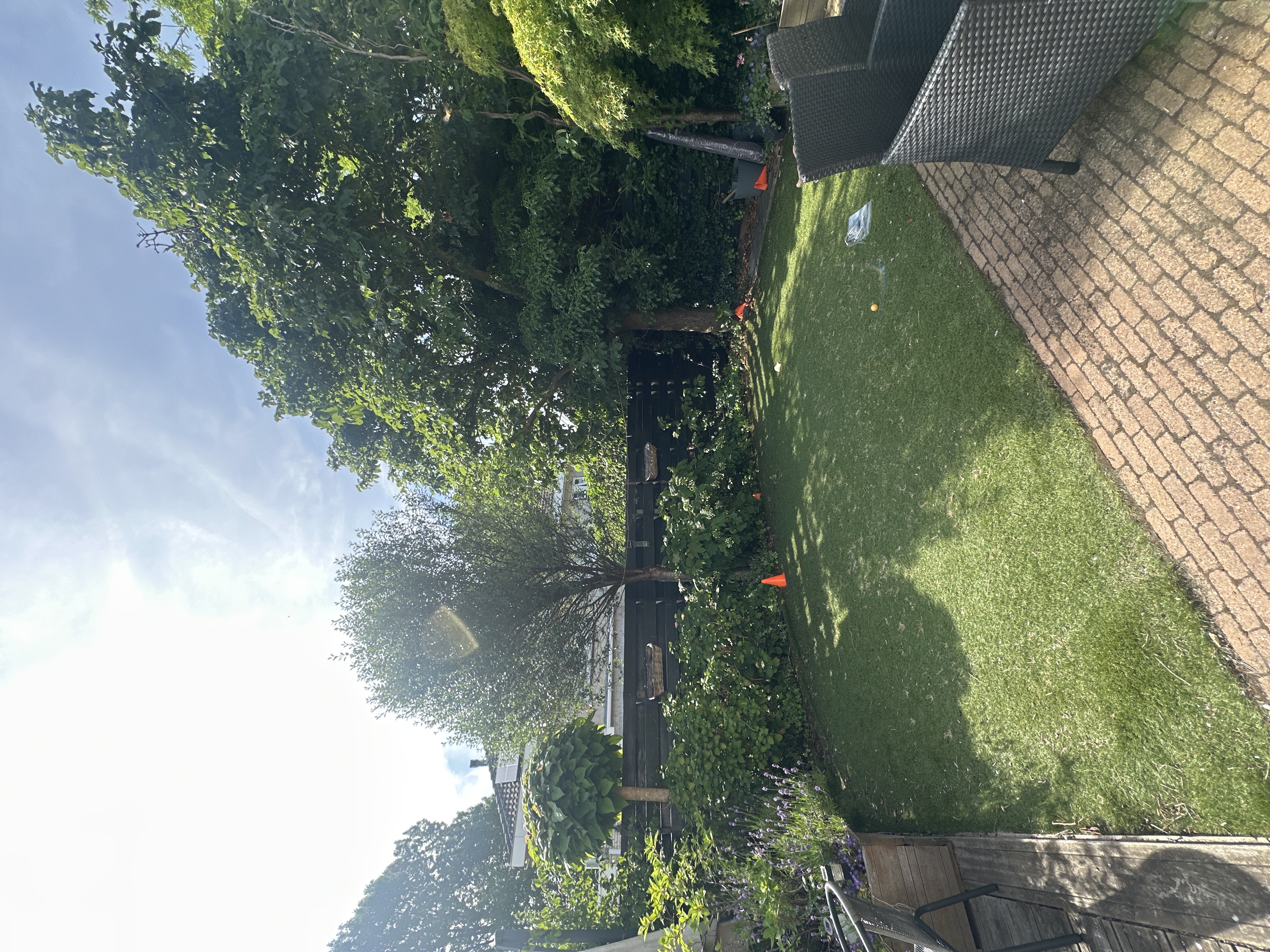 image-14