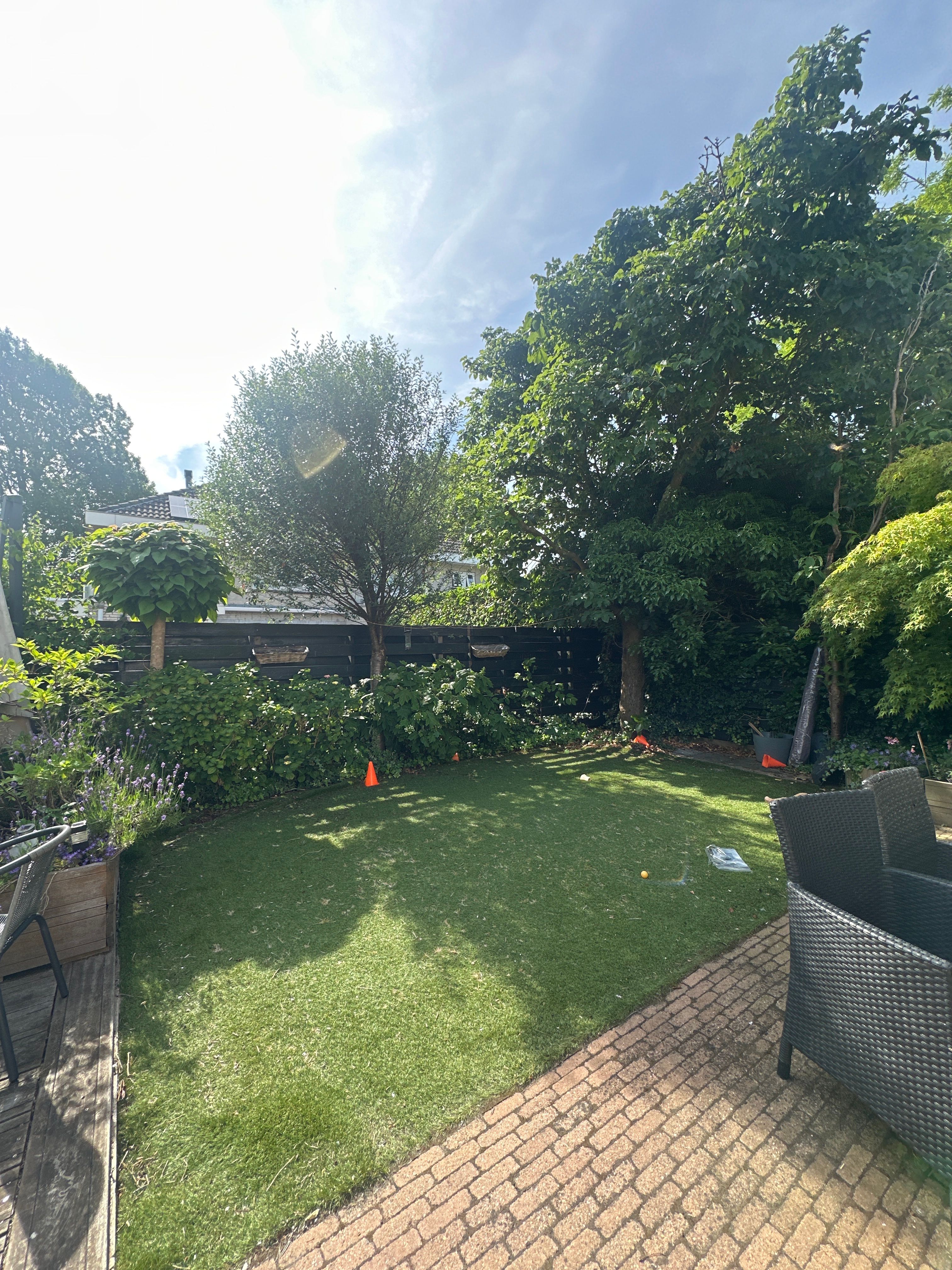 image-14