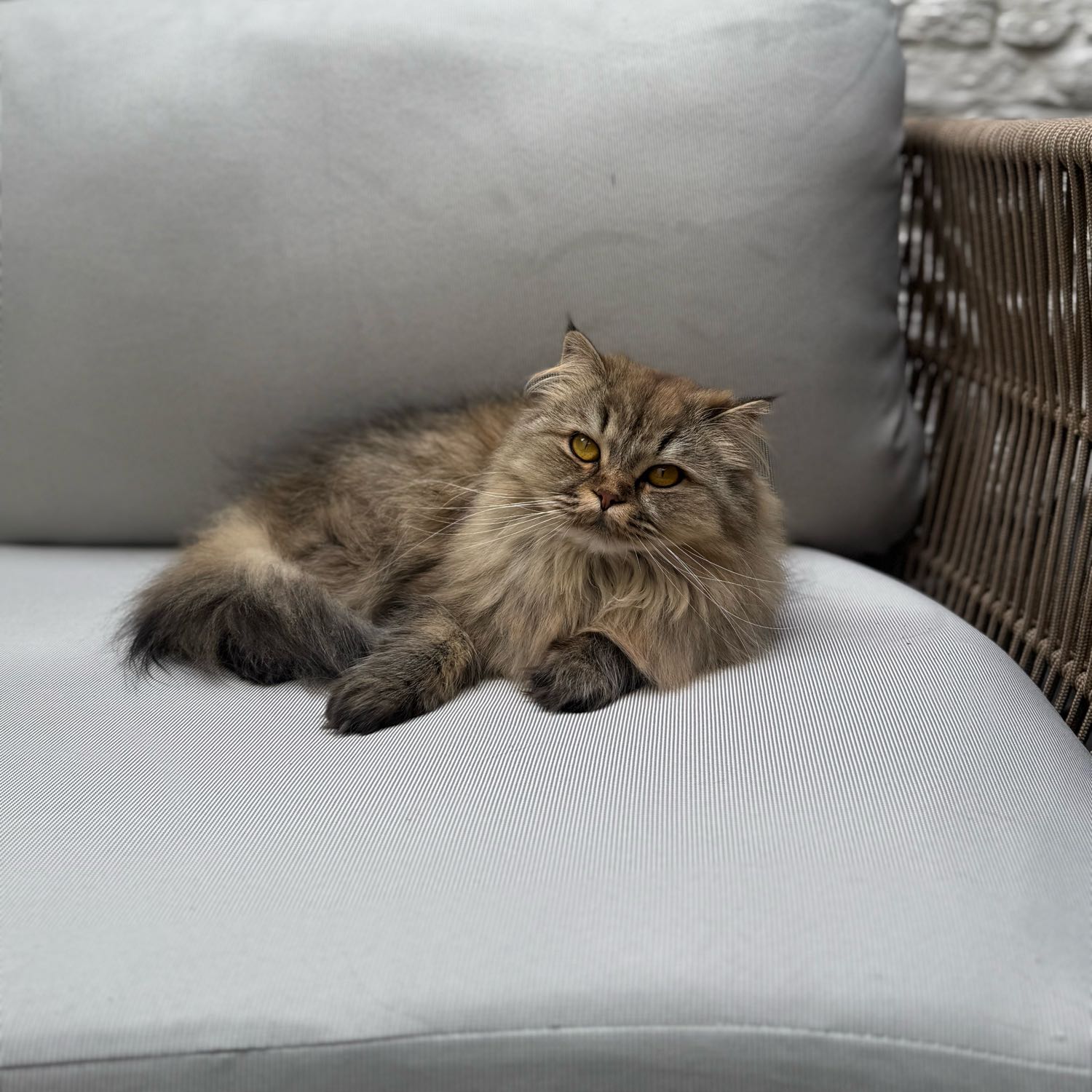 Coco