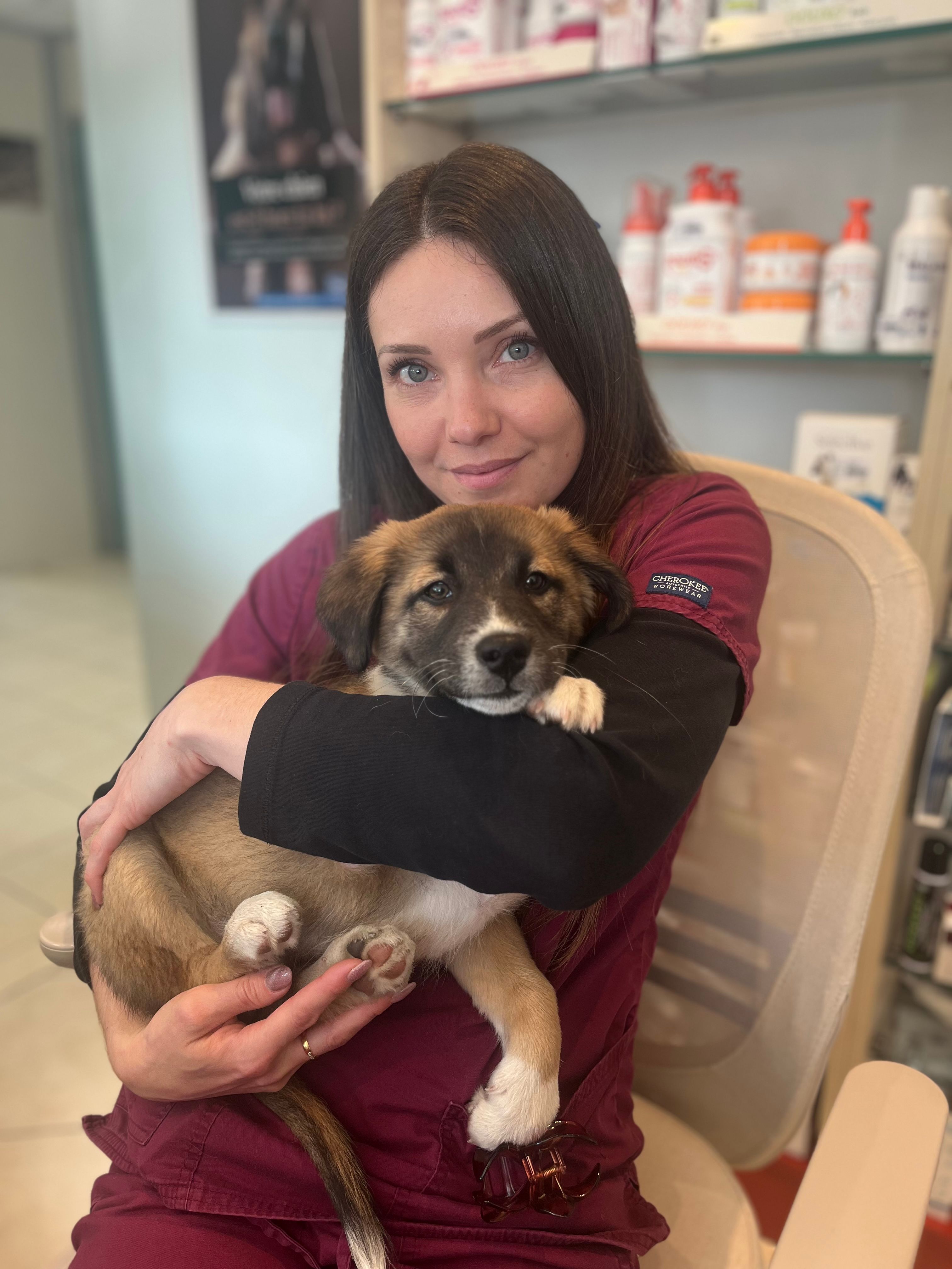 image-4