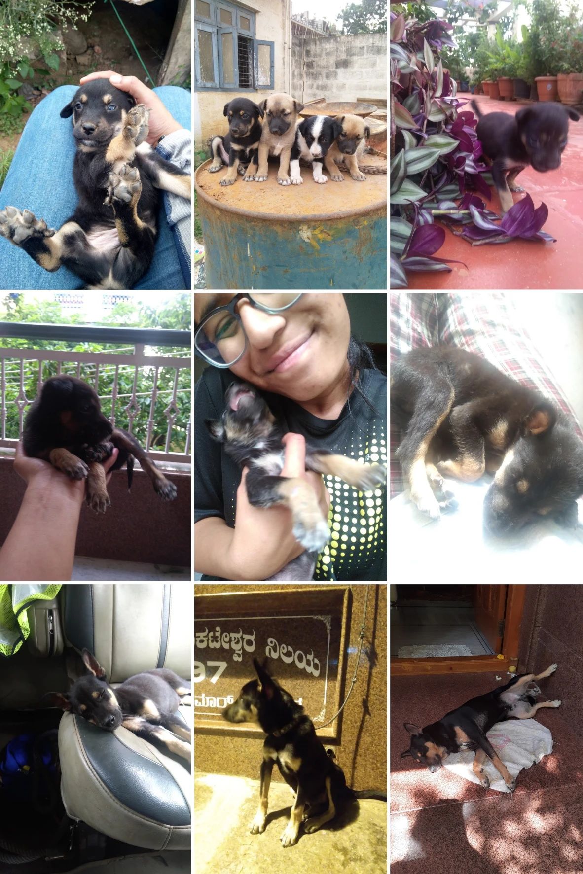 image-5