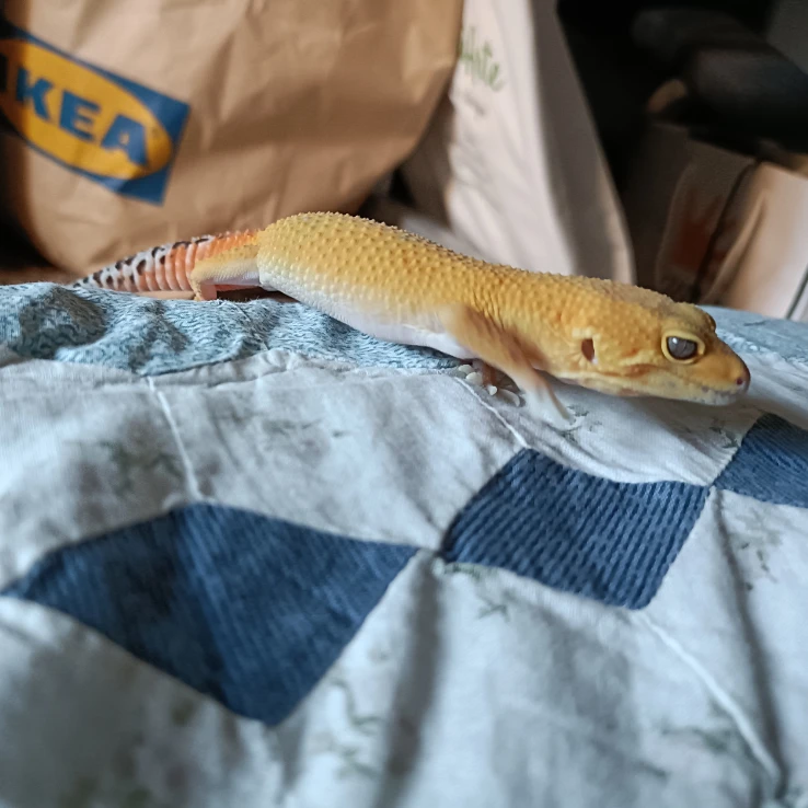 Sobek