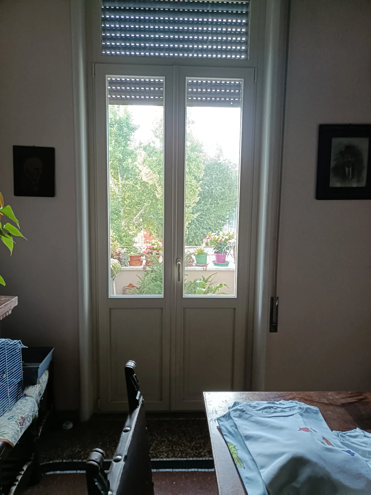 image-23