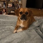 Skye