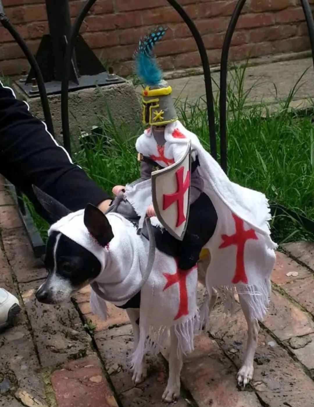 image-13