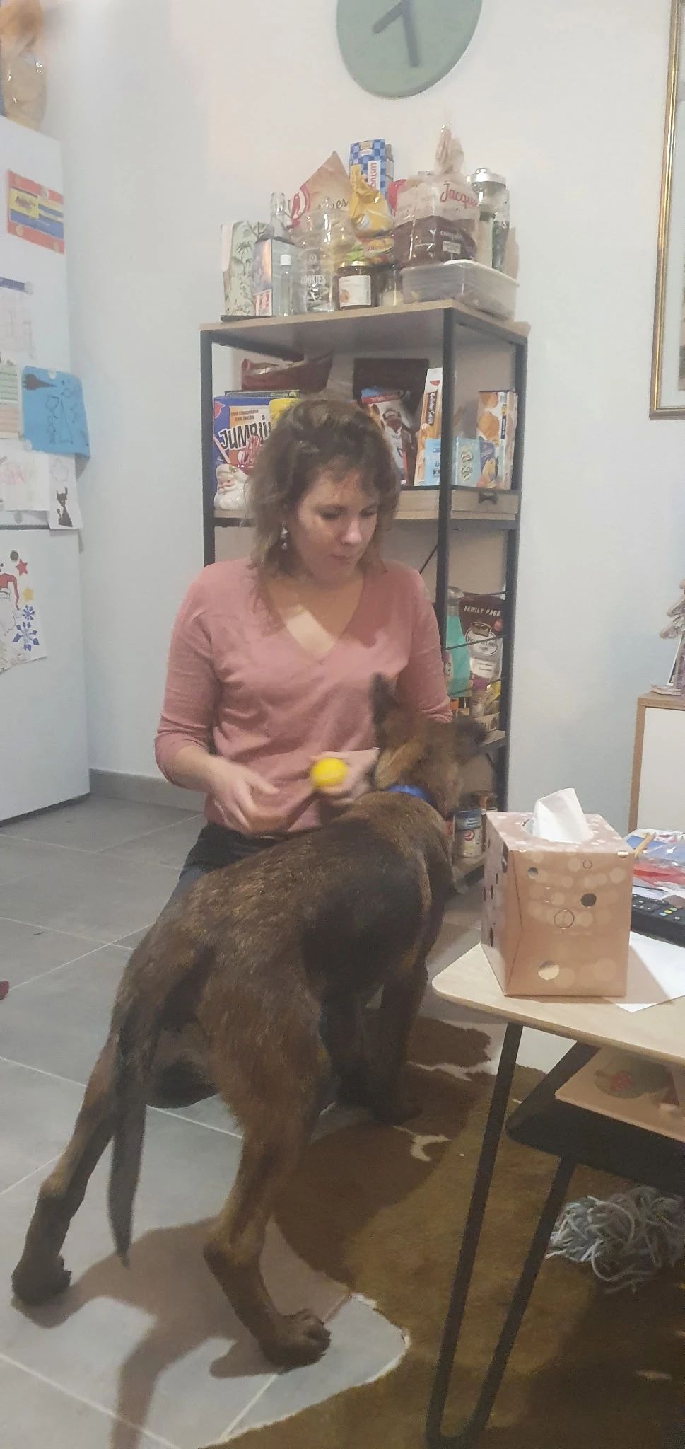 image-6